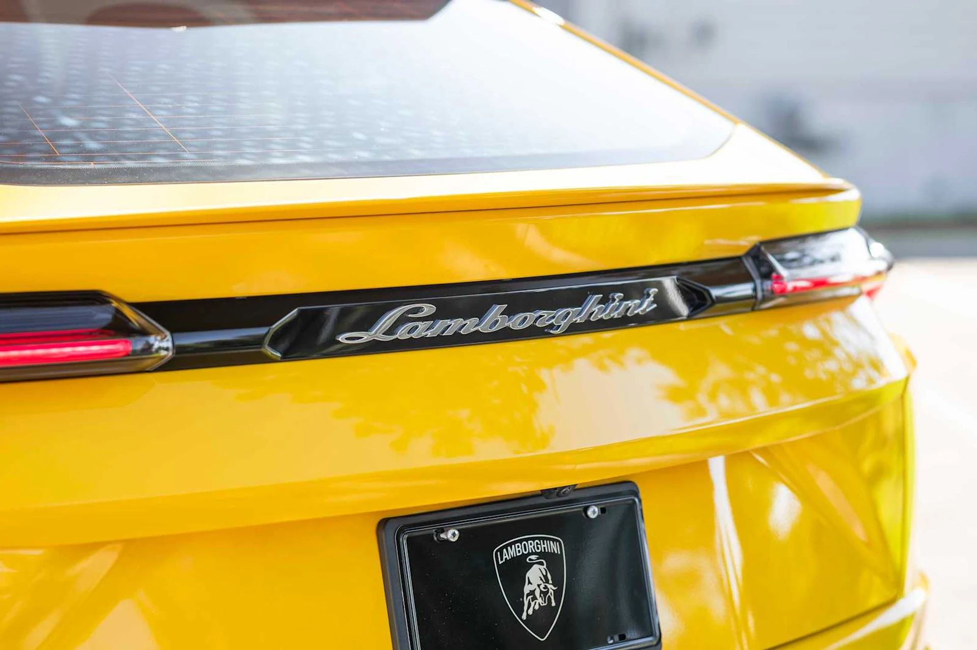 mph007_2691141967_1771fc3896821167b51ce7cf9b7a1b6cx_5c01da3877