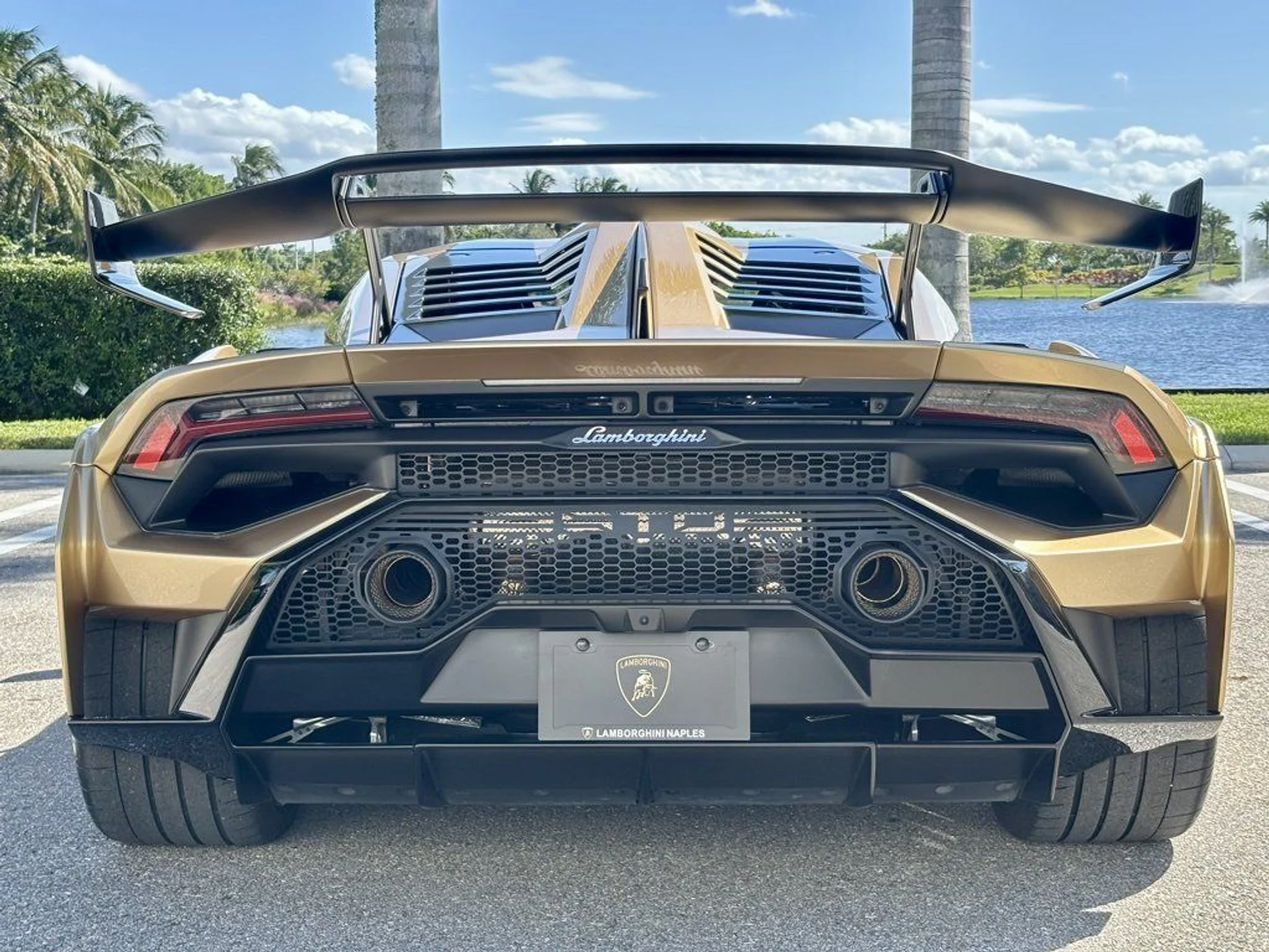 mph007_2733691313_304d376484f589a6db39567691bdee1e_290c8eb828