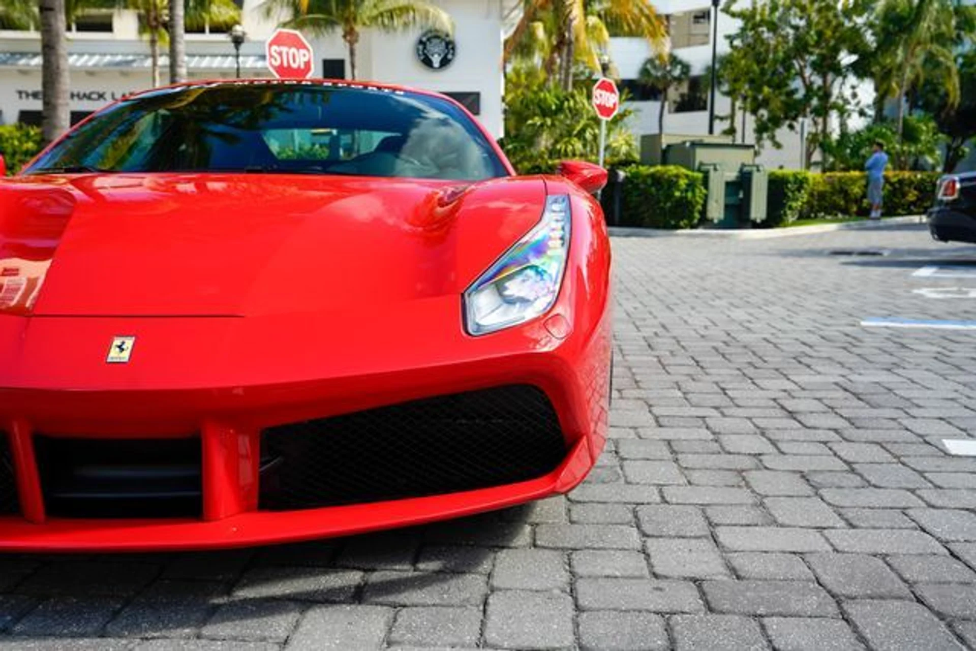 mph007_2735671324_22967341_8_0590efa19b