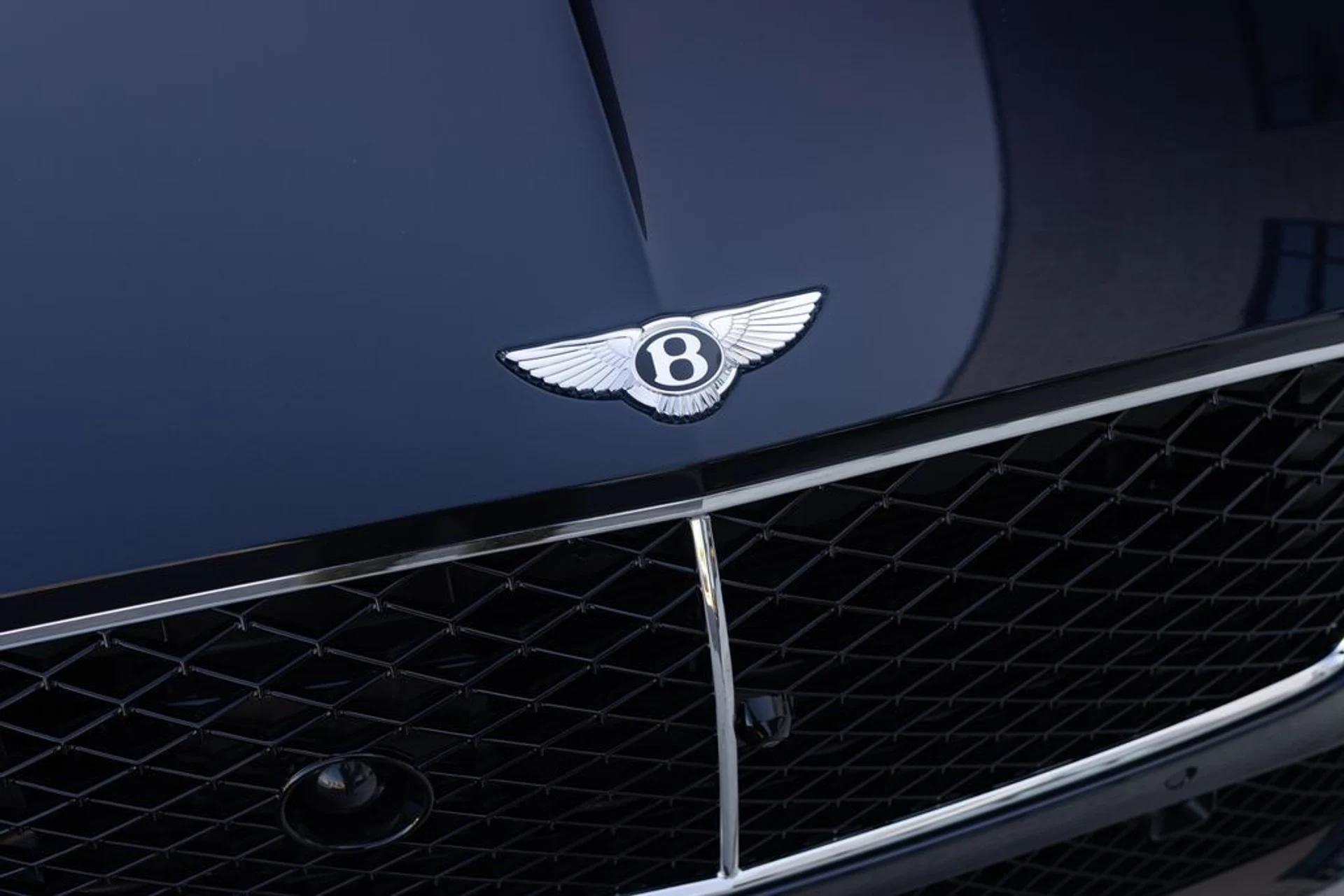 mph007_2759678673_ab3d291c2401483b038e32ac634b4ba2x_b966ee66f6