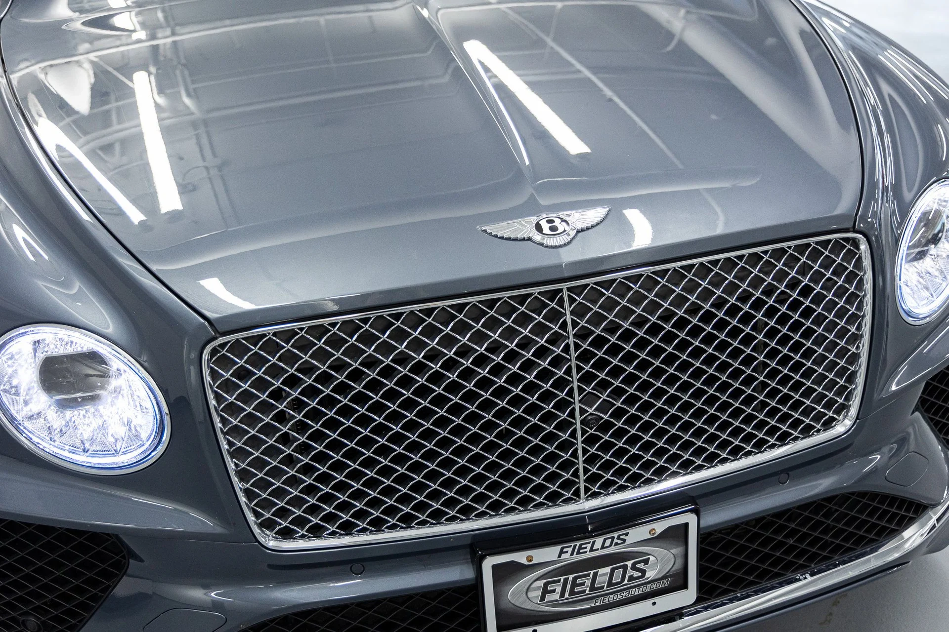 mph007_2769671590_23c6917441887ee00ac042e61c262467x_a971756fae