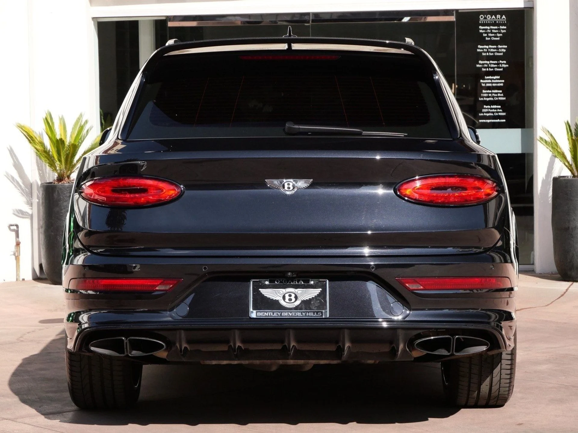 mph007_2851648289_c90bbef3bfed1cb24f22d5ddeb789082x_c88ab8b68f