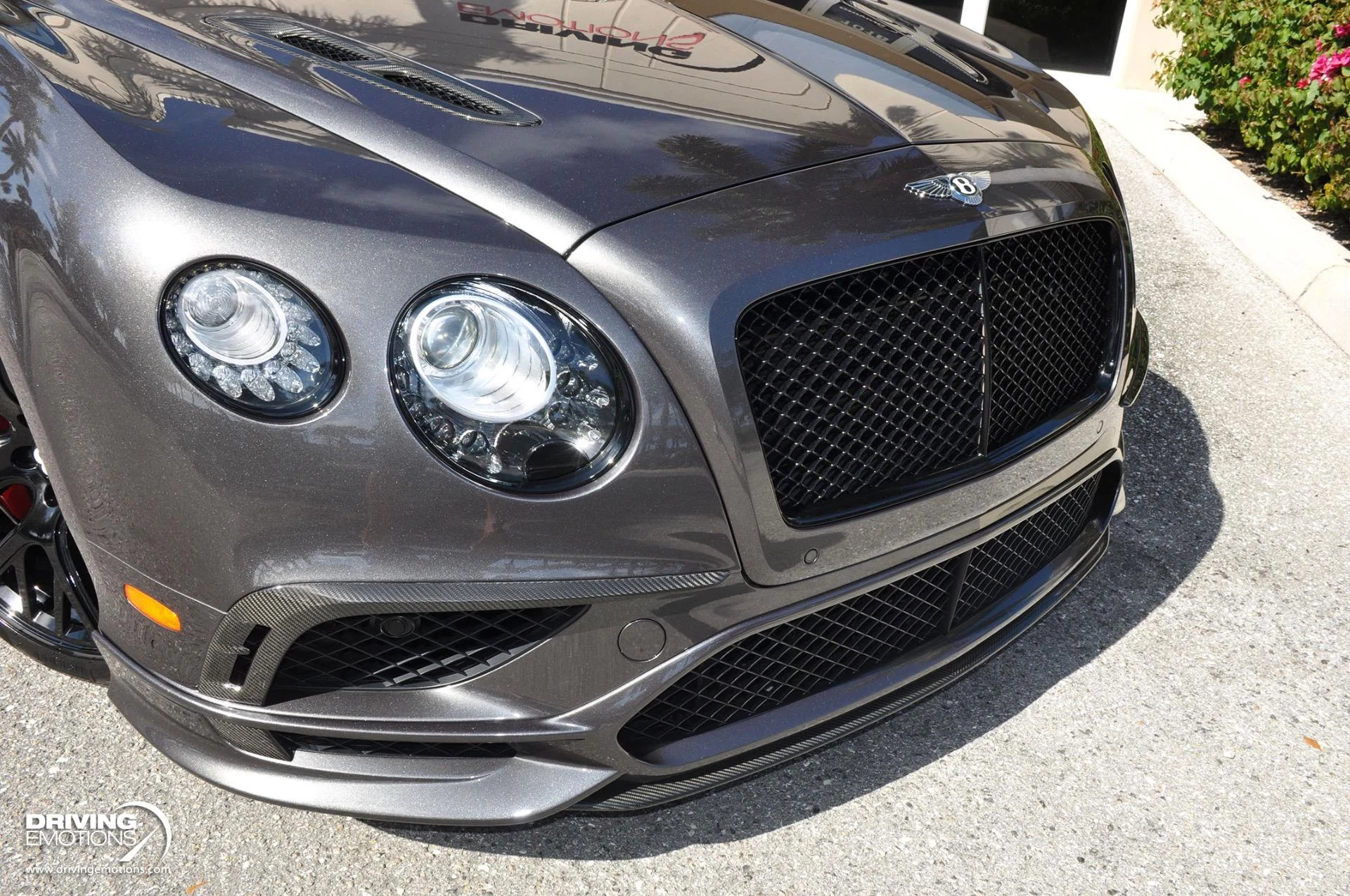 mph007_2882427317_891_p8_l_15be177be5