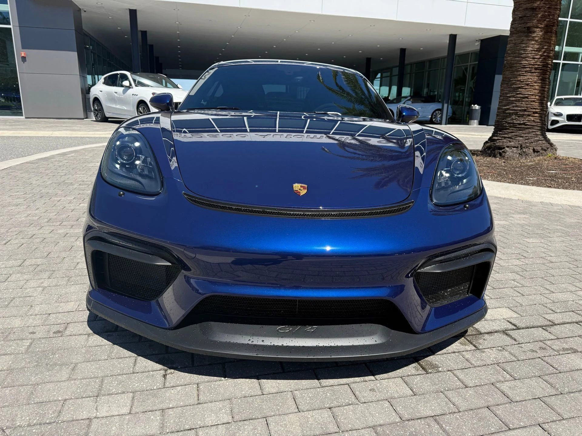 mph007_2911925617_855e6238c76f470f89b702dfdf4aae70_16ad6b27b3