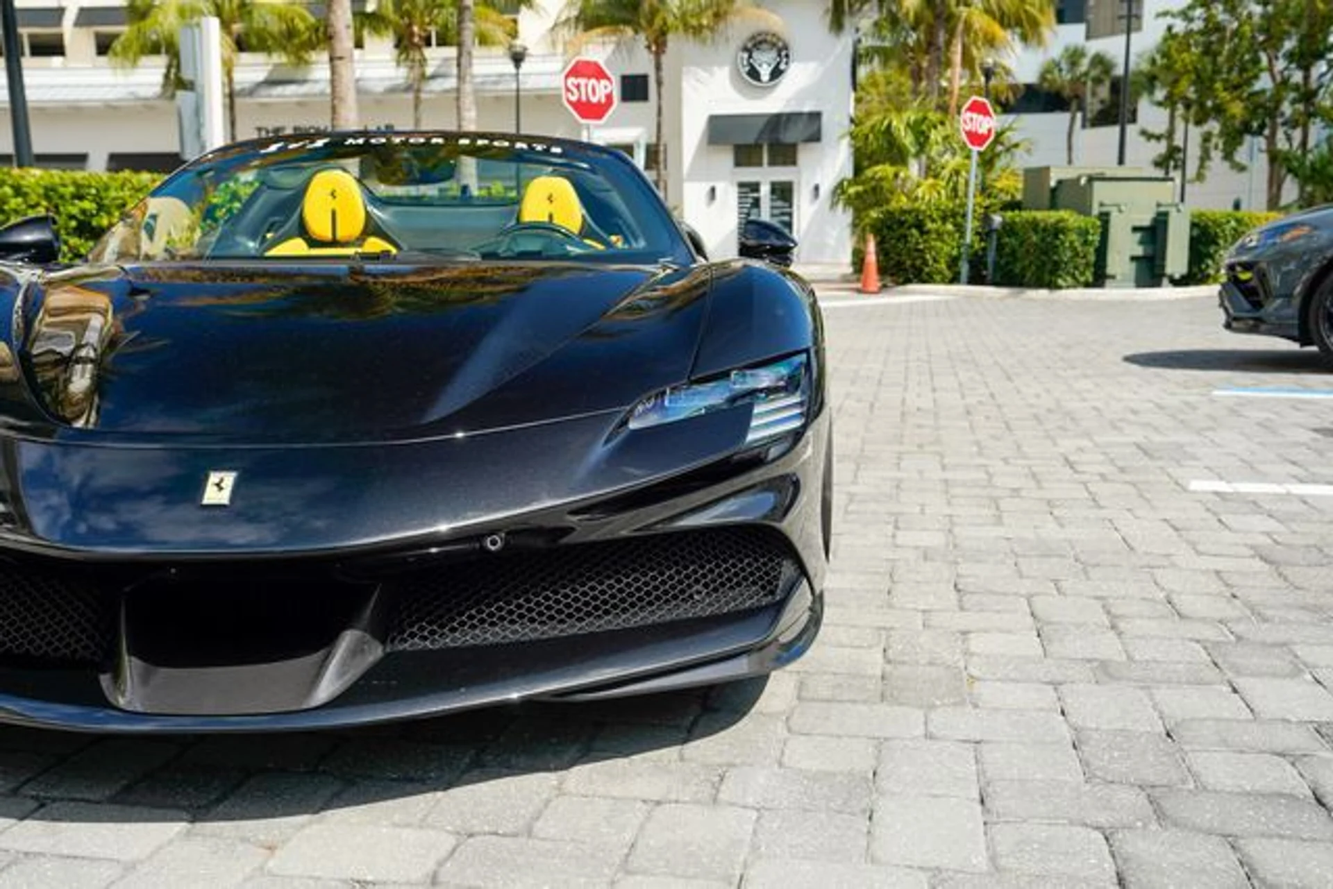 mph007_303139594_22986484_8_f661149e34