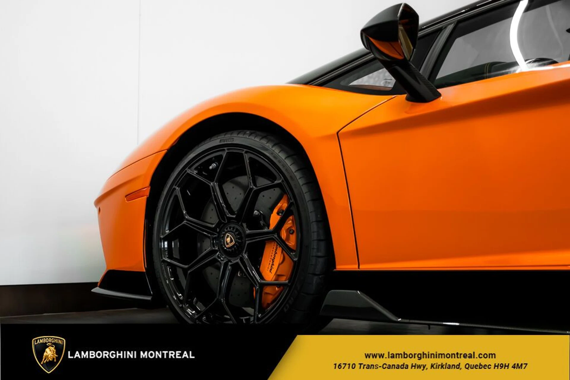 mph007_3054253802_64ef54e0035797_51188290_jpg_v_1770227440_0e43271caa