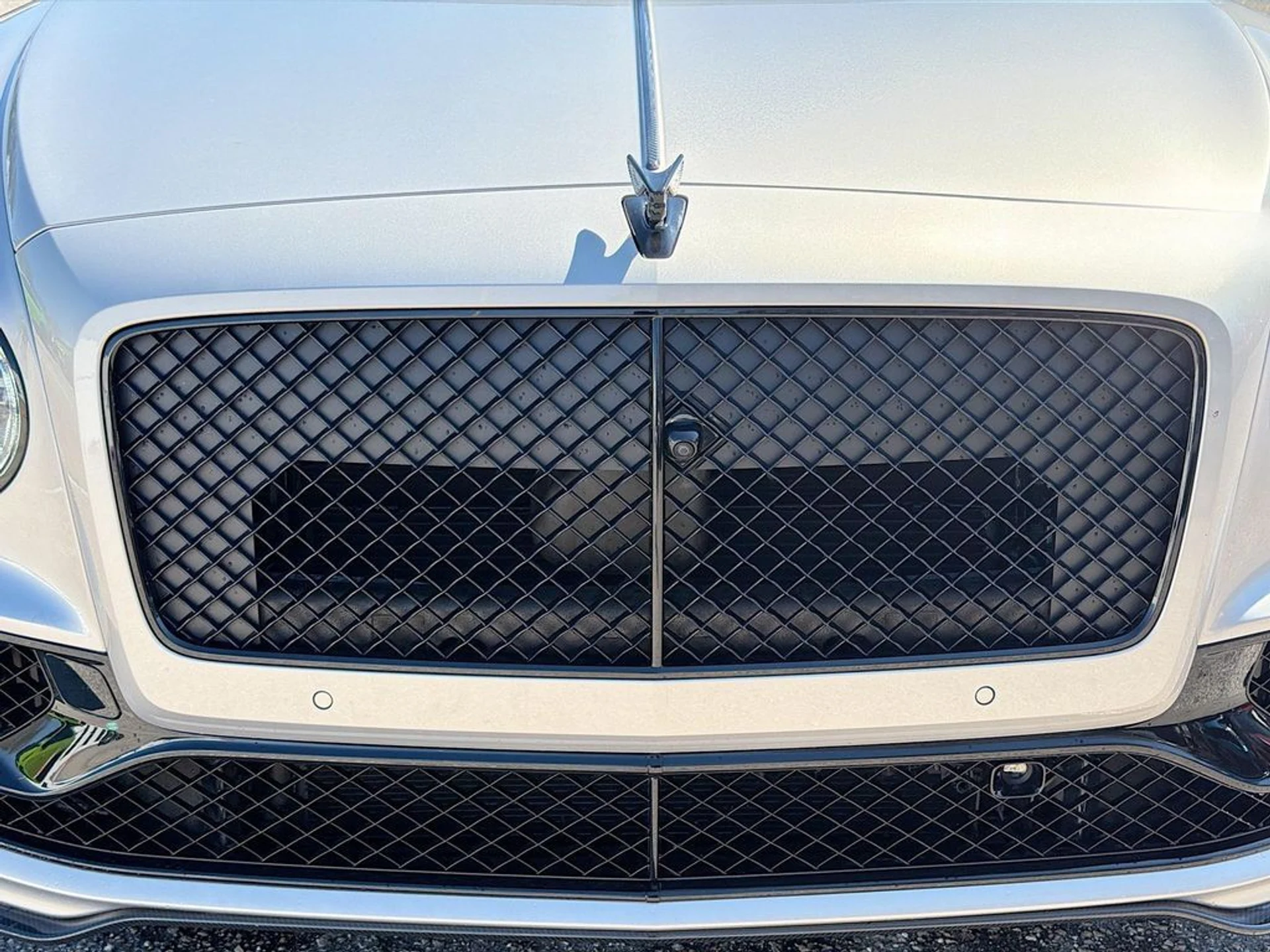 mph007_3079437690_d7838b754240a18a6e2cdced7d3a7d0ex_b0c6cd47e4