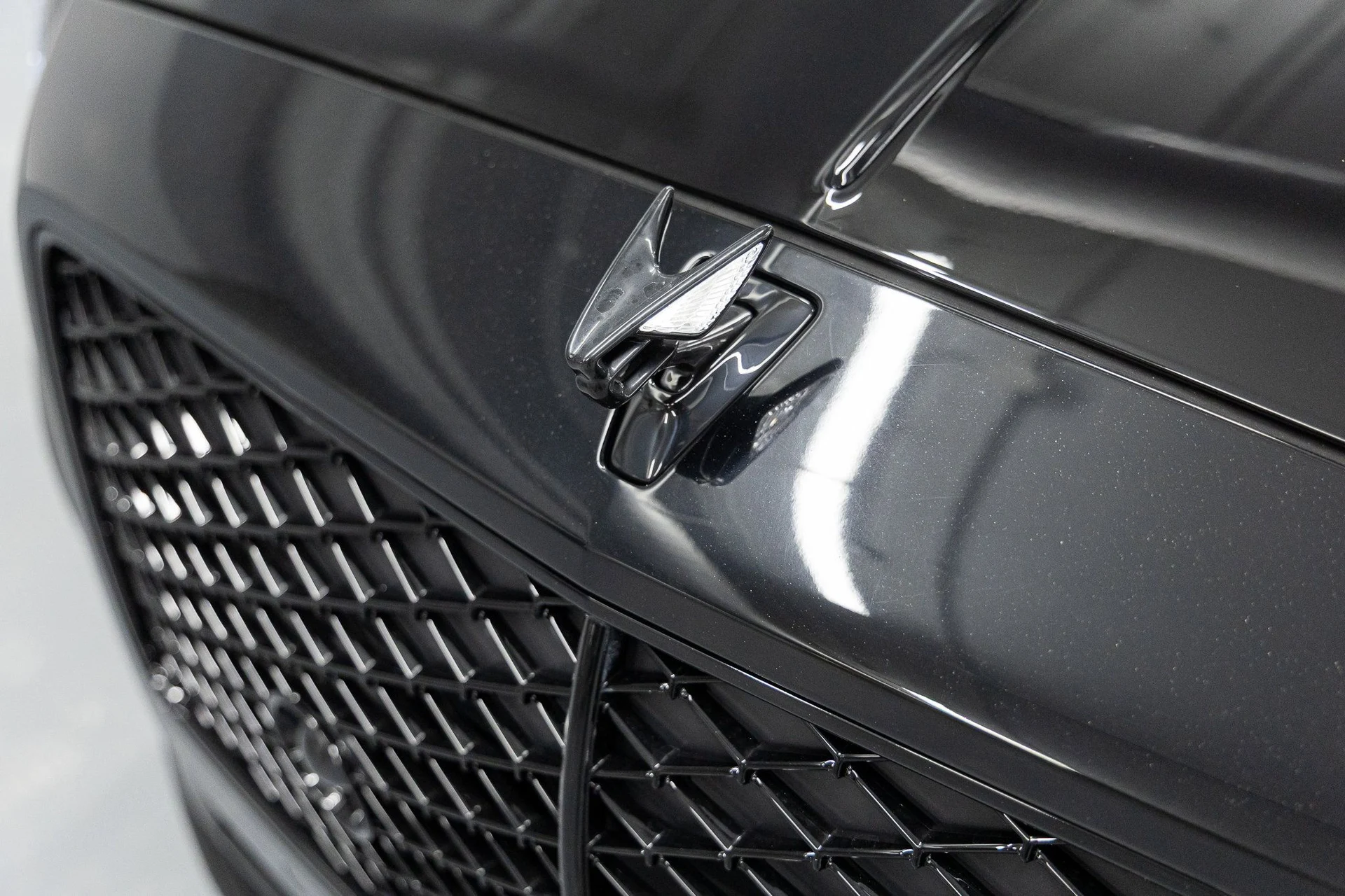 mph007_3105459452_aa0db1f6e16fe79be19955e431949658x_1d6f02b1b1