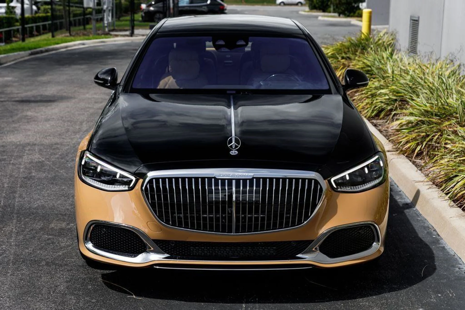 mph007_3113549513_2b1426f90ae15f2ff18b438ca2b0476a_4d9effe9d2