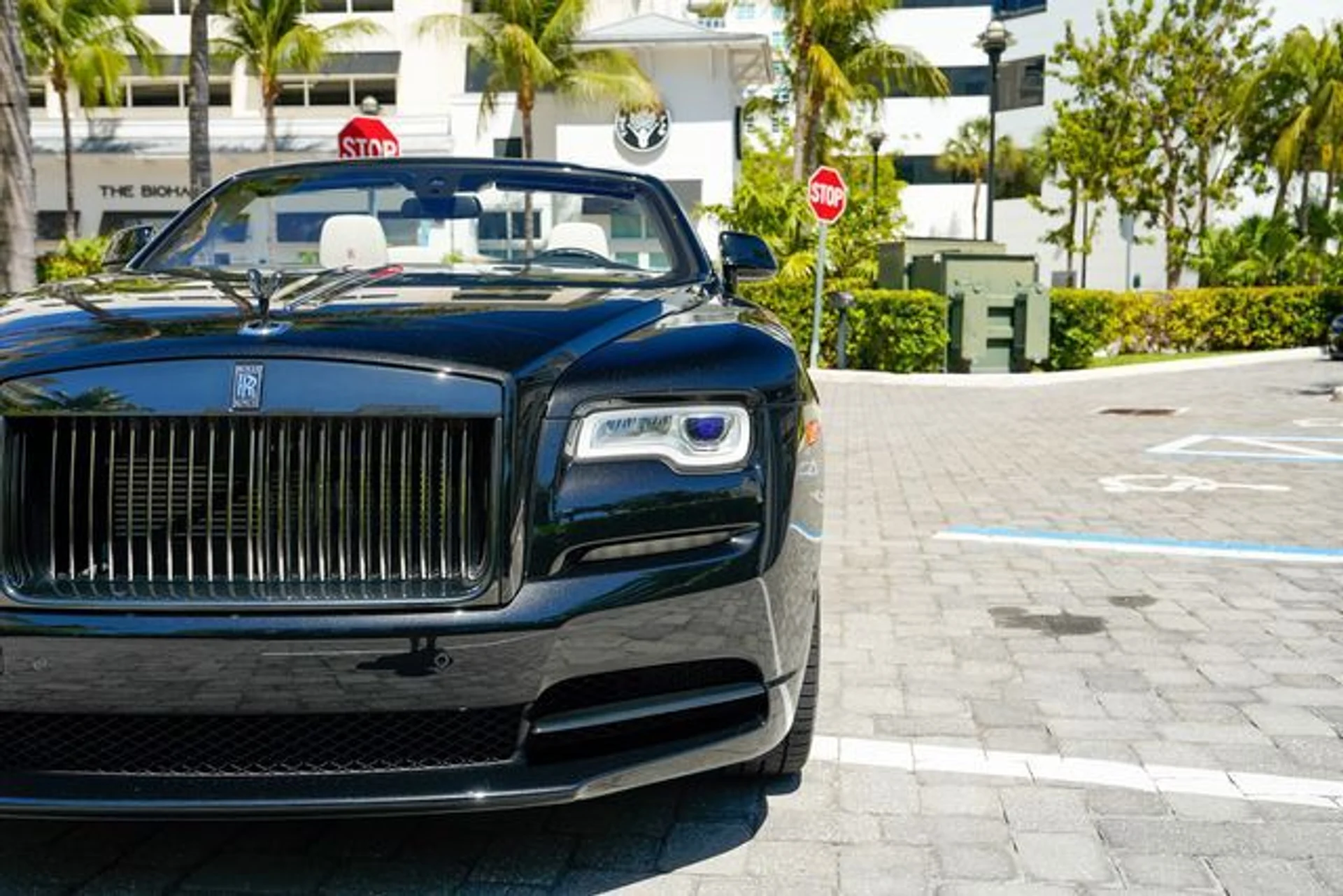 mph007_3190244938_23014492_8_9b75dea963