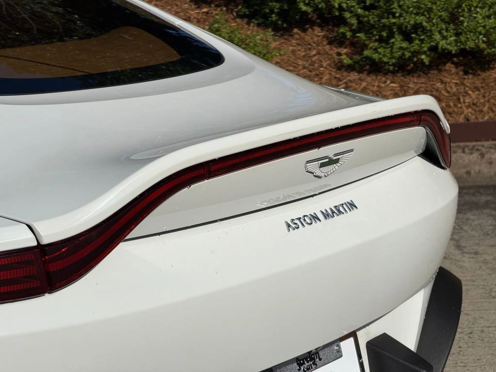 mph007_3200796958_94ee07bc9fc0468787e434e57069ca66_9776ed5e8c