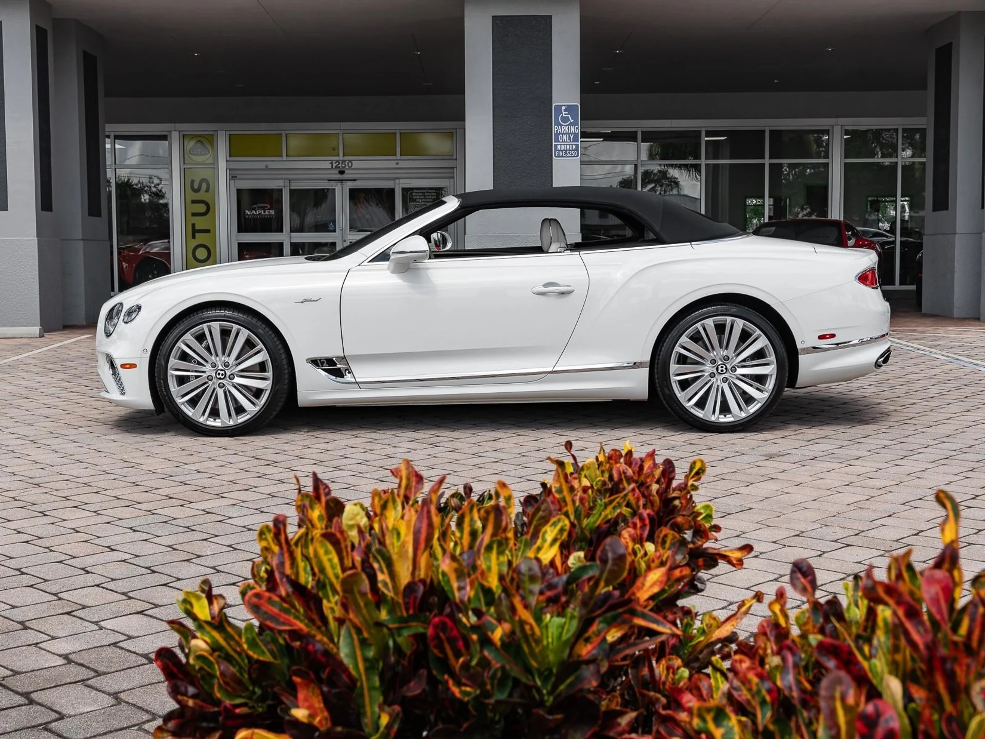 mph007_3288774316_Used_2022_Bentley_Continental_GT_Speed_1755029133_f345094439