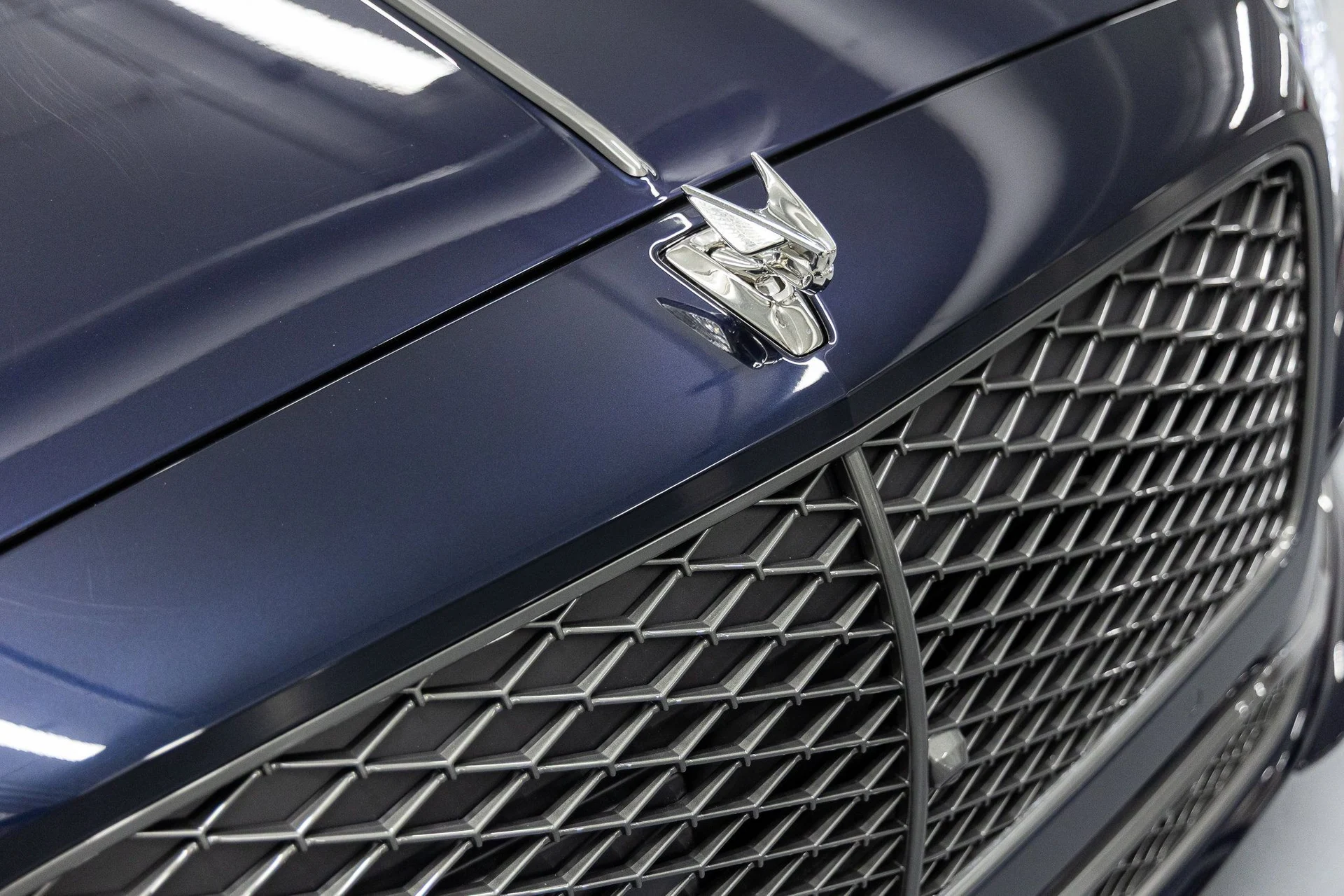 mph007_3290322753_5bbb249ba788103b27d9161c2d0fedb4x_be3d0761fd