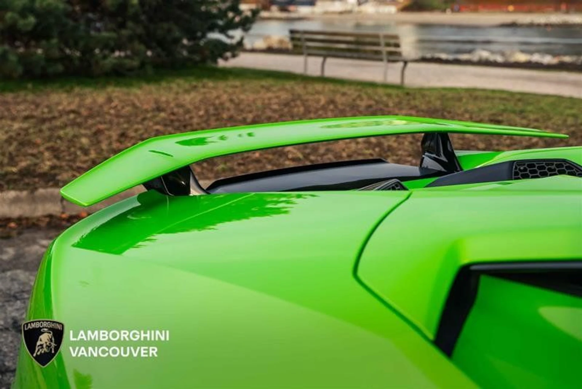 mph007_3552796685_37308456_05554_oap3c4wq_62c75a6db8