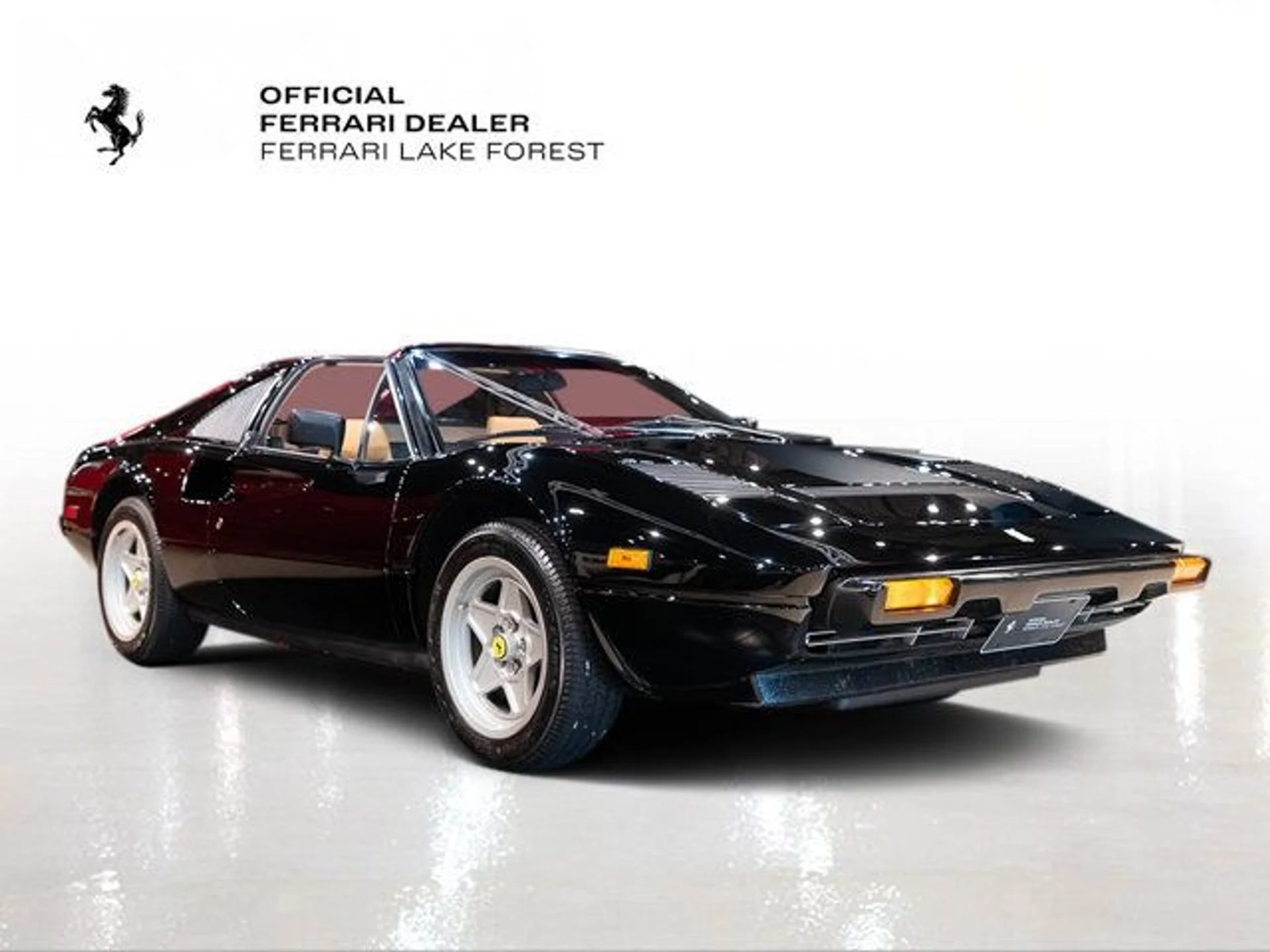 mph007_3577063575_c5639c6ce85e0f3ccf30c21c75a2c5ea_64abc1b086