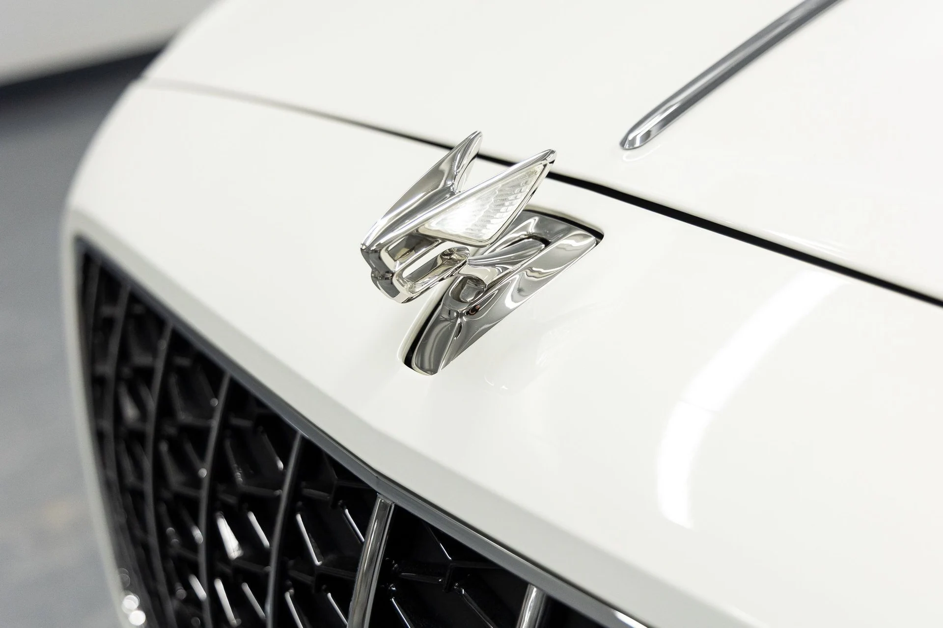 mph007_3591155398_82b57d7358af2ac6b7c053d31c177a67x_516b2f5274