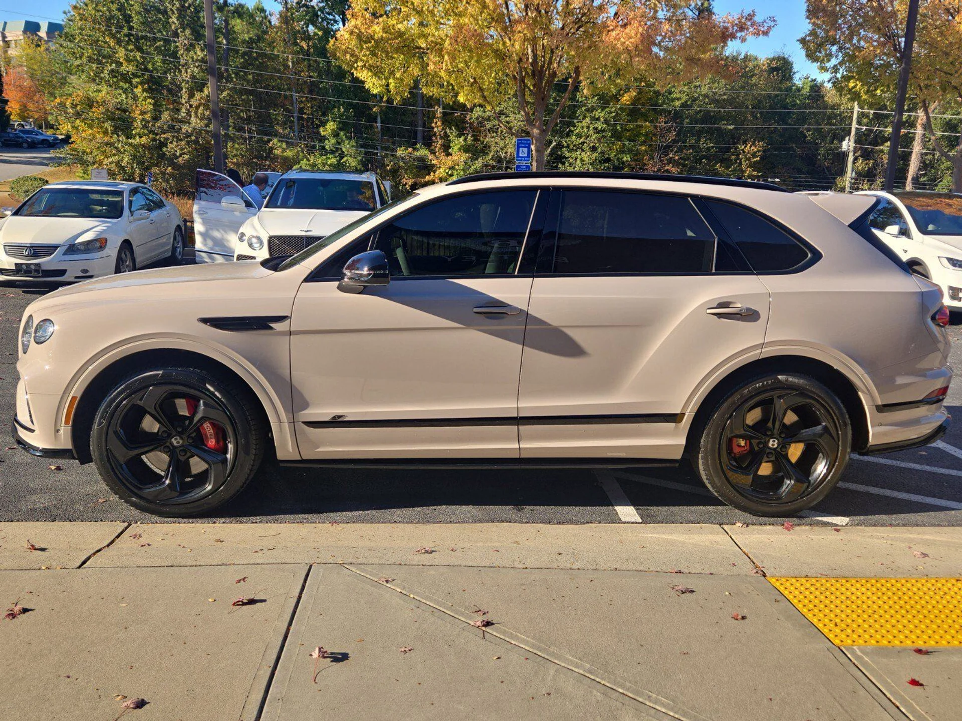 mph007_3593731601_ebc4d91f785ada9d86d2c8914cca3496x_765134a0b0