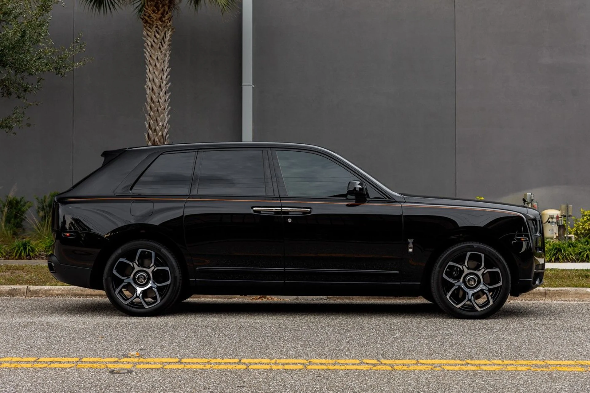 mph007_3614246493_649_p8_l_a58f6a128d