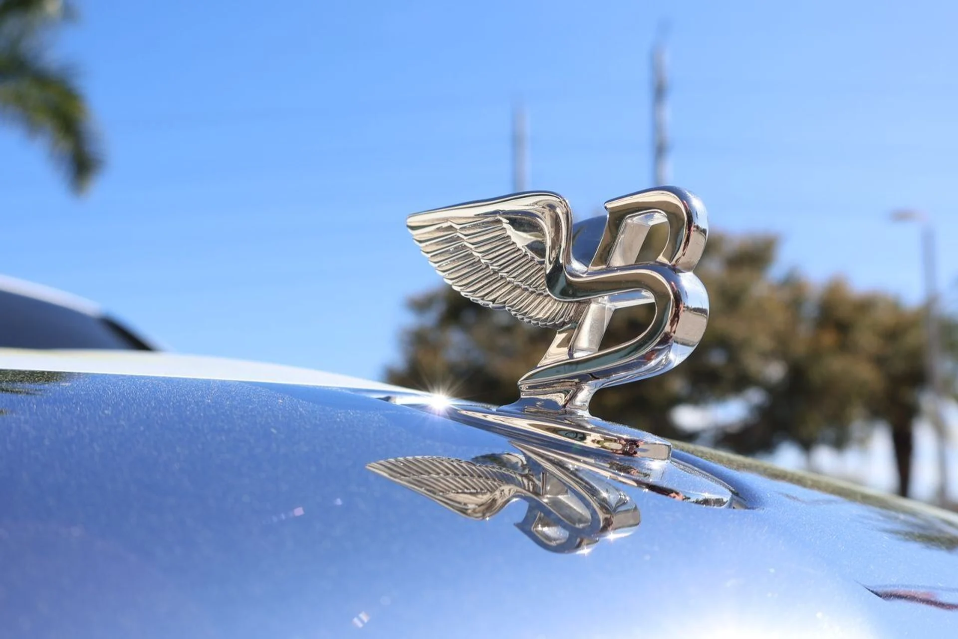 mph007_3644185803_8_88c6ba9e42