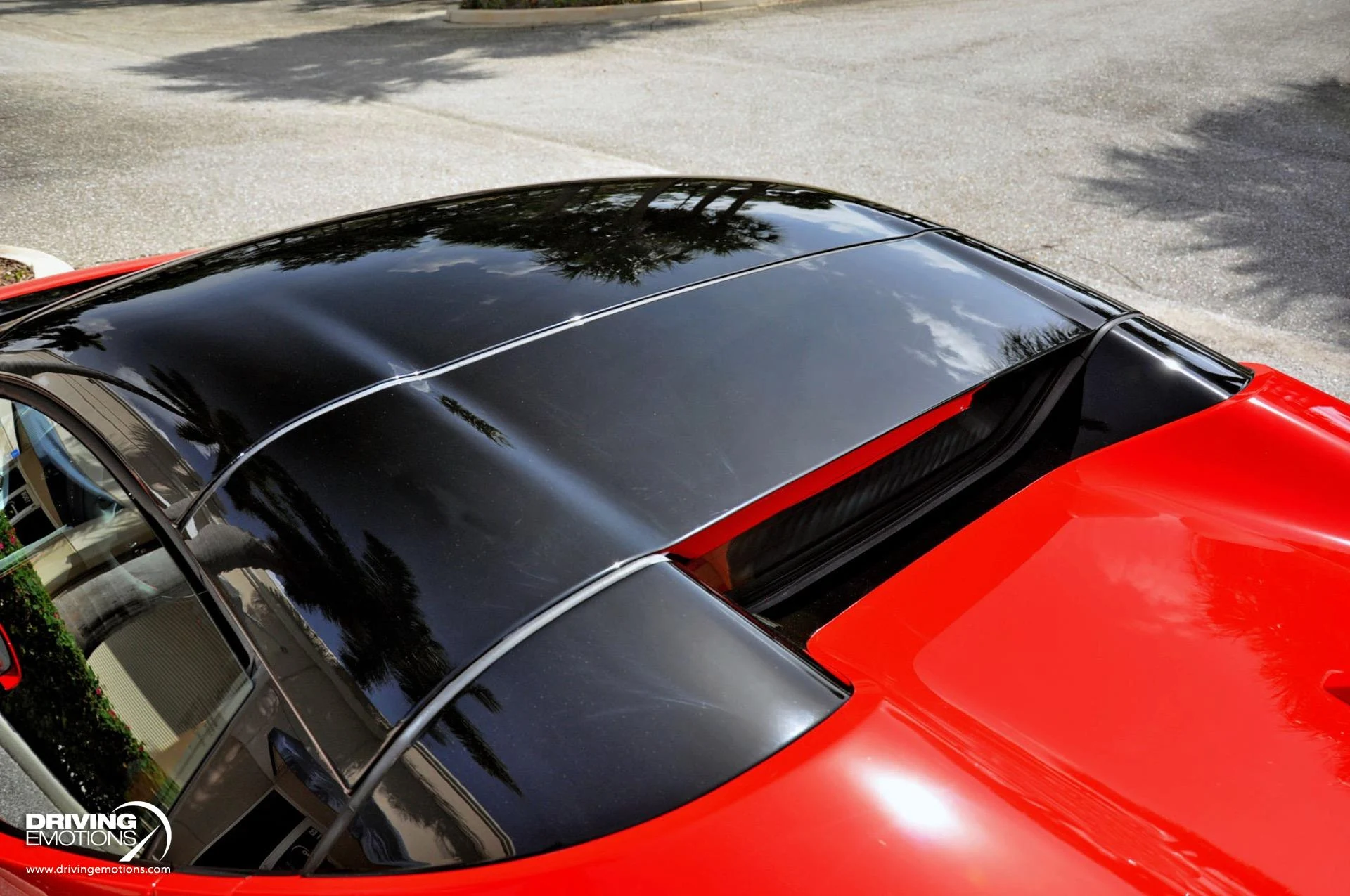 mph007_3646570097_860_p8_l_b41c4ba88e