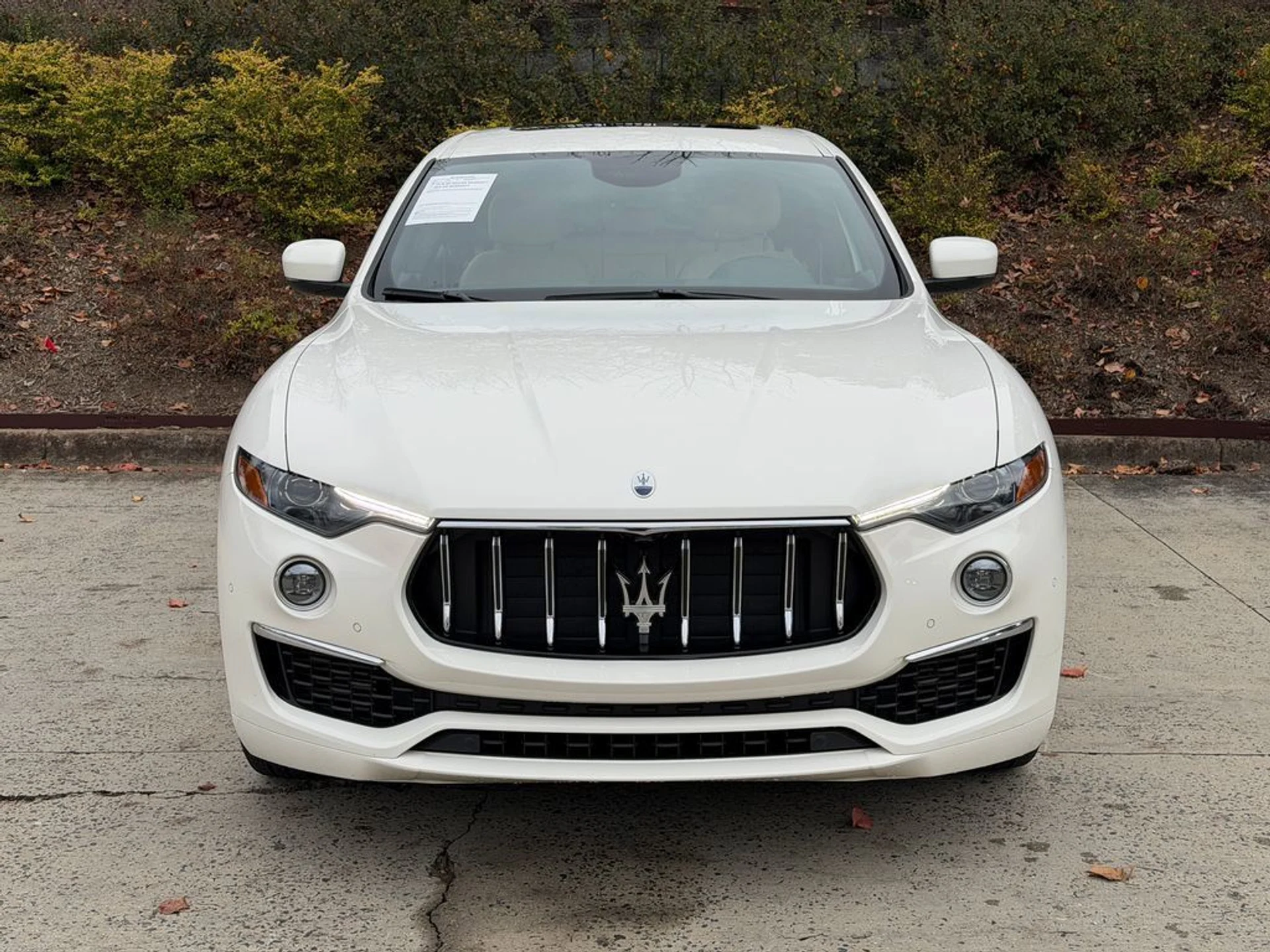 mph007_373264017_beddb30346e144f68d1ed0ad0fb8d017_6e5c46248c