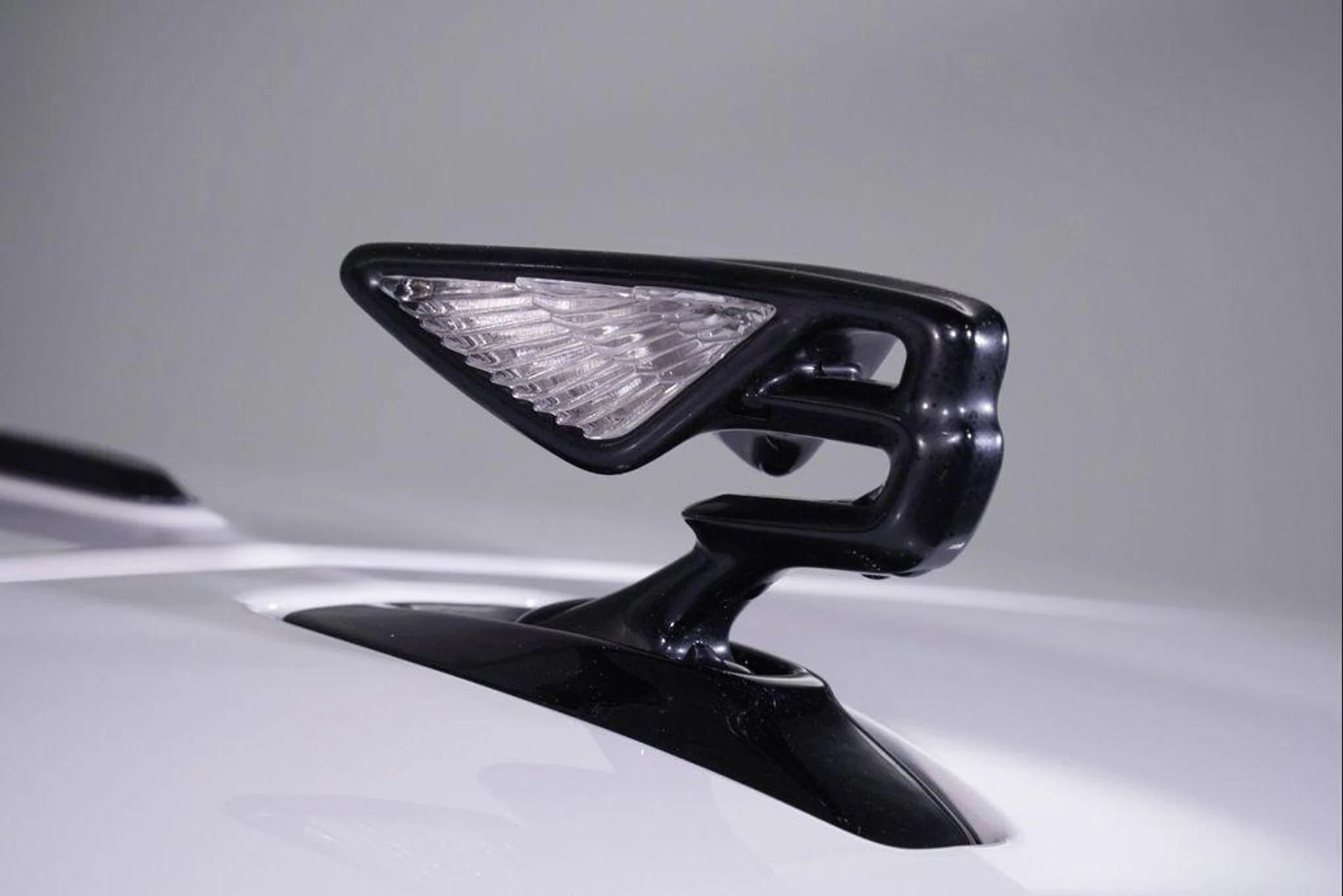 mph007_3833383352_Xtjdoq2_Kx_Q982p_Bvgb_Erw_Frc2n8_e301cb7892