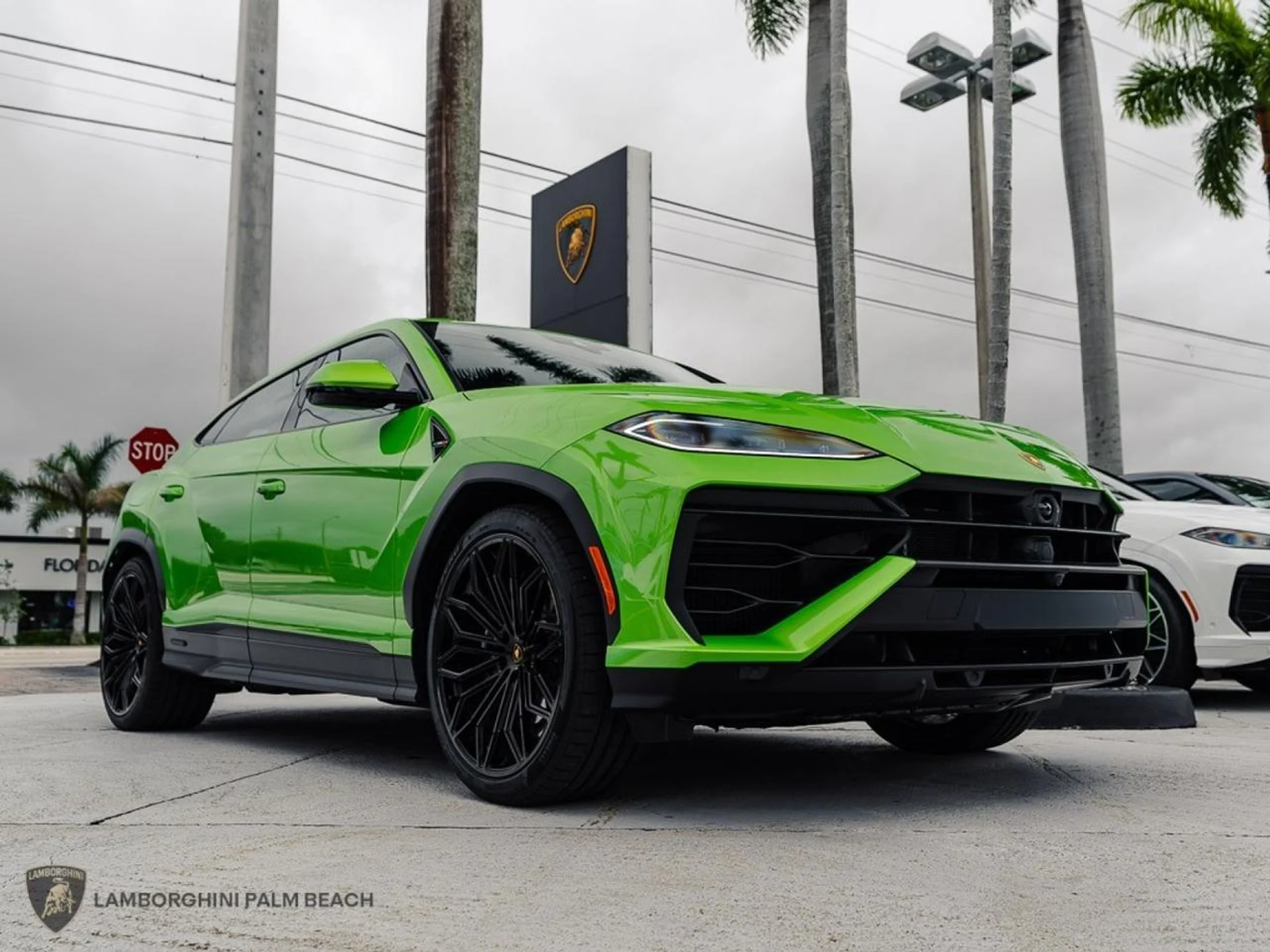 mph007_3861975157_299e45ca84cff6828e2bc105c0a4a23a_9ef397f726