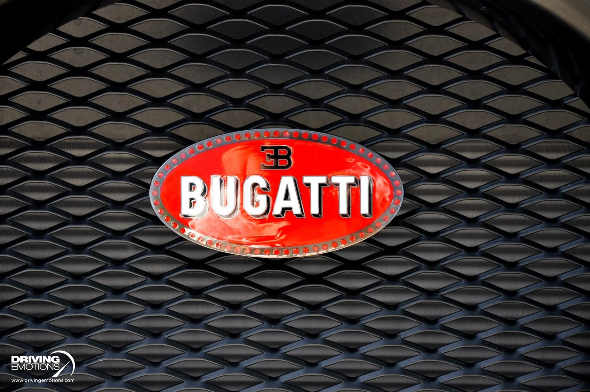 mph007_3886759831_479_p8_l_a2c01b01c6