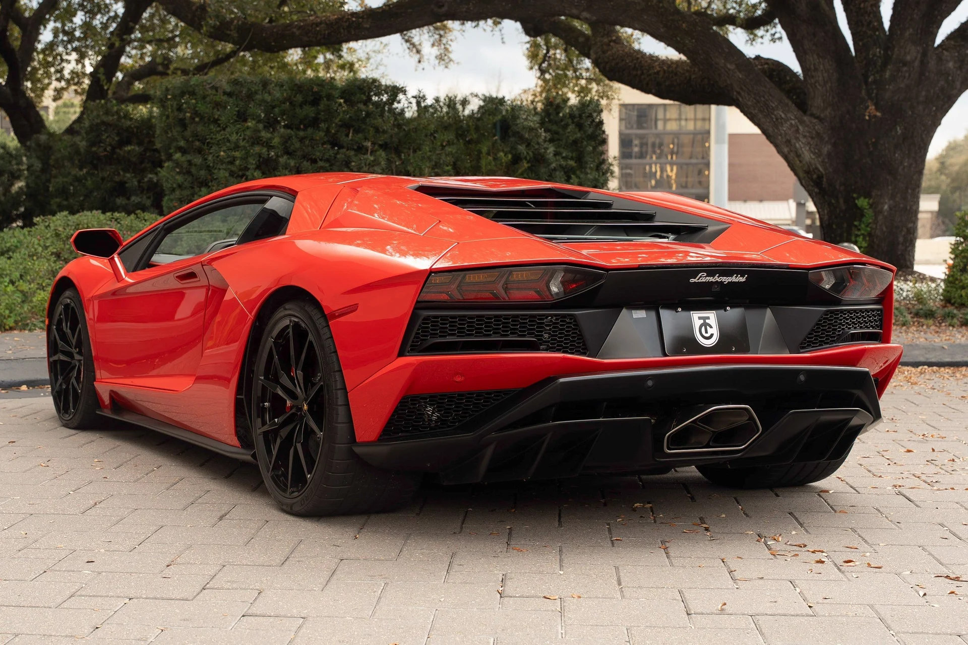 mph007_3954408844_image_8_187cfbef05