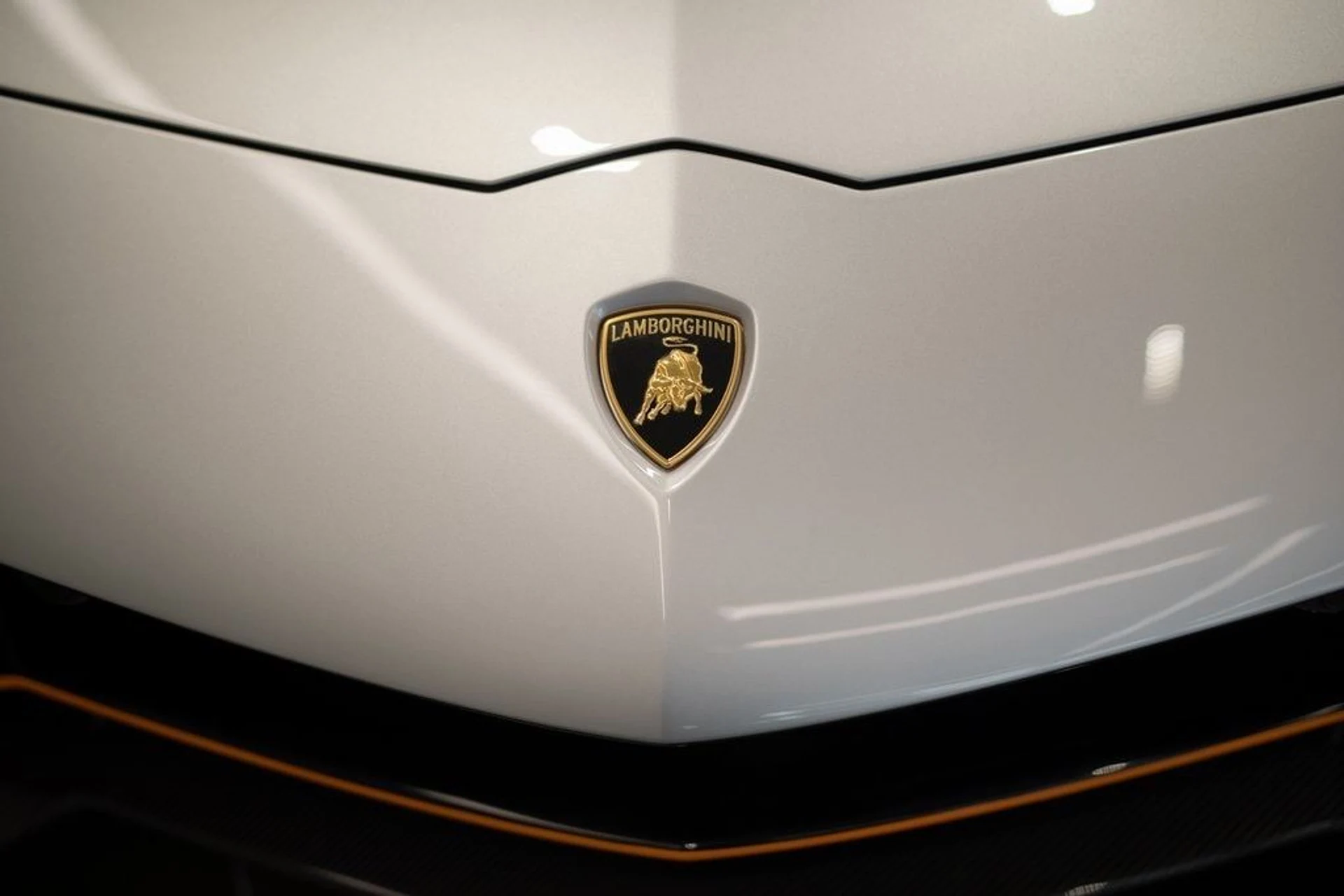 mph007_3955906095_a8935e2fecd651d5f881e5d384678446x_f524b9372d