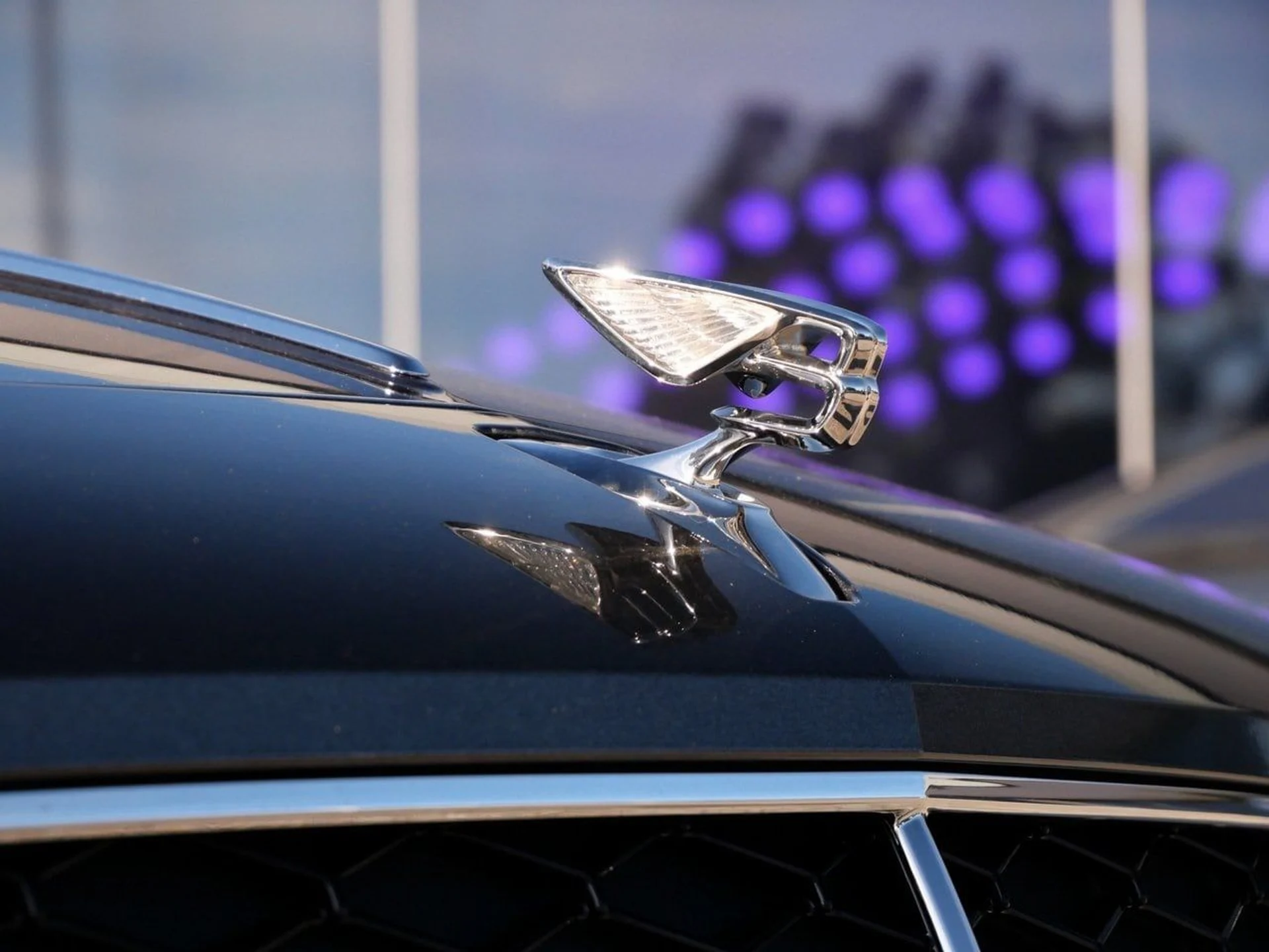 mph007_3993975207_747670d7f549cd7574cca4dcf7d7808bx_4fea60d96f