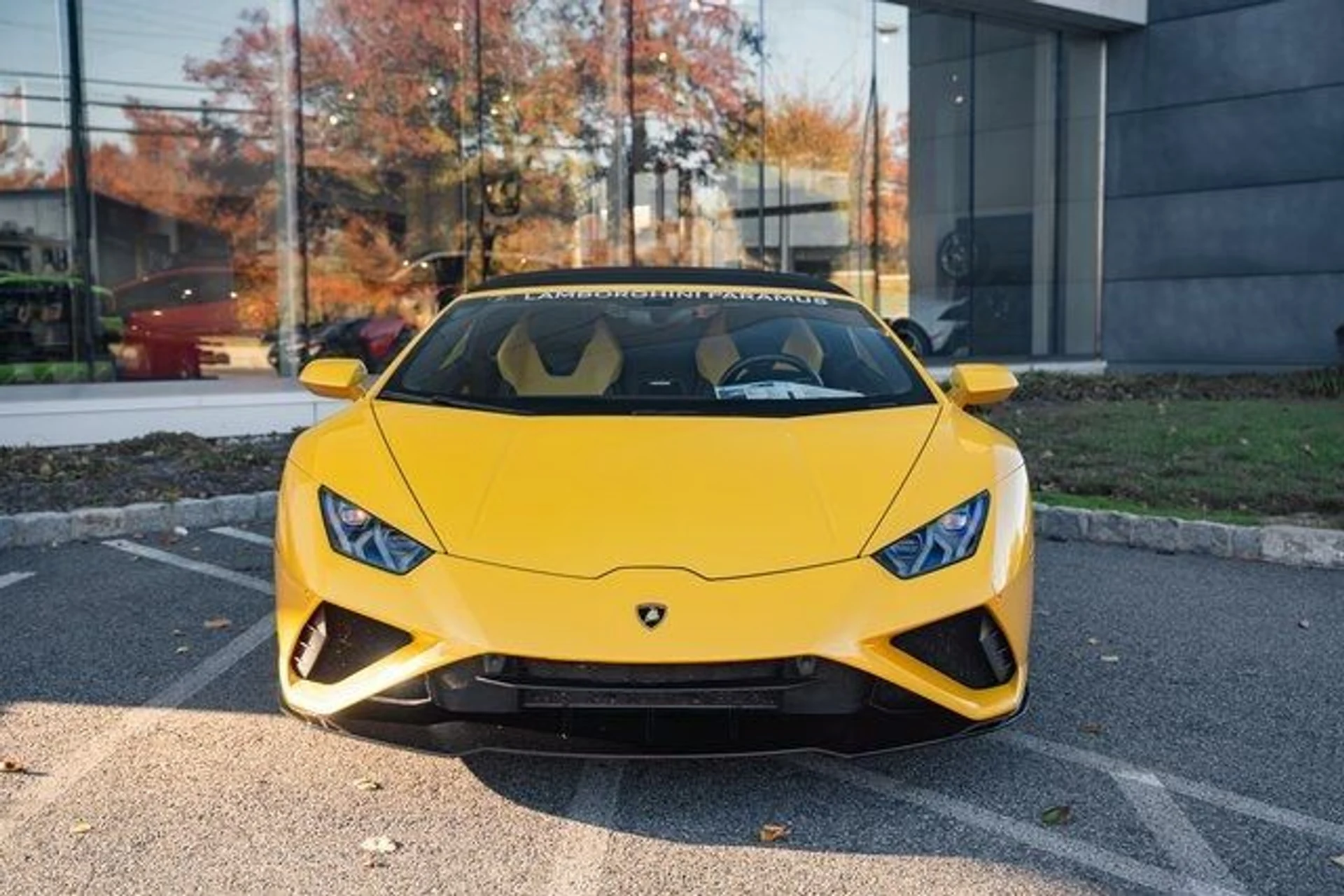 mph007_4063346210_a1608f99241514b2303e299c4e009299_7ceeb2f77d