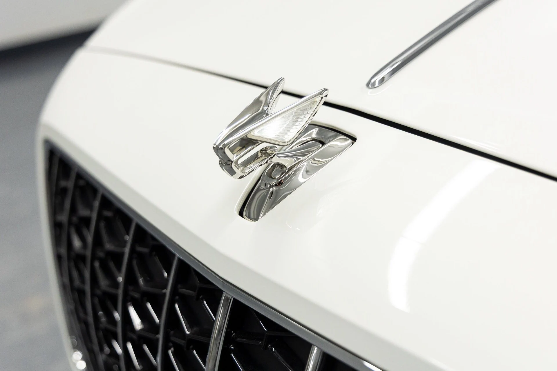 mph007_4116443006_82b57d7358af2ac6b7c053d31c177a67x_ed3cad1a2b