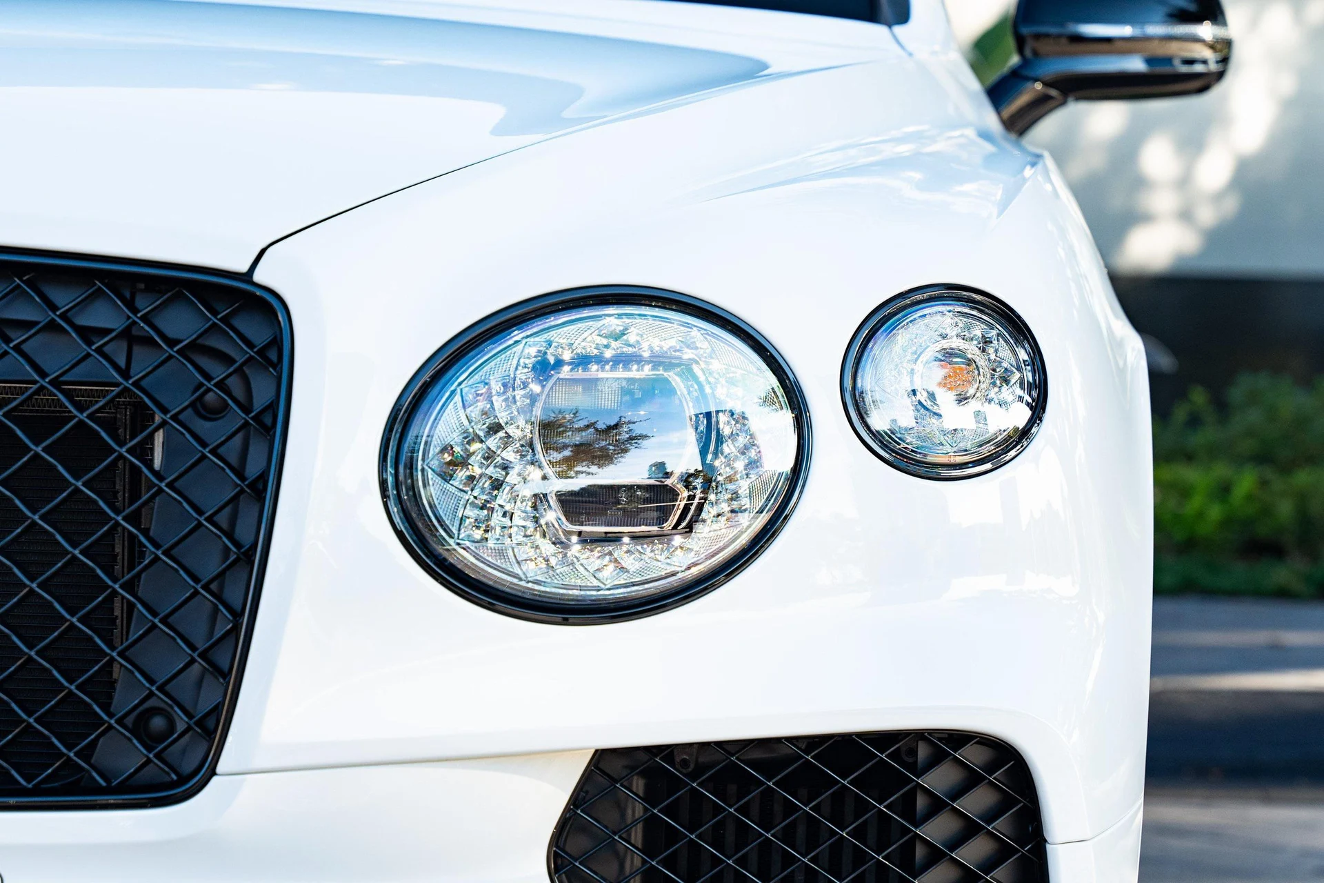 mph007_4188071660_389622357_677365142b7a94b33fd419d2_20d23a4f6b