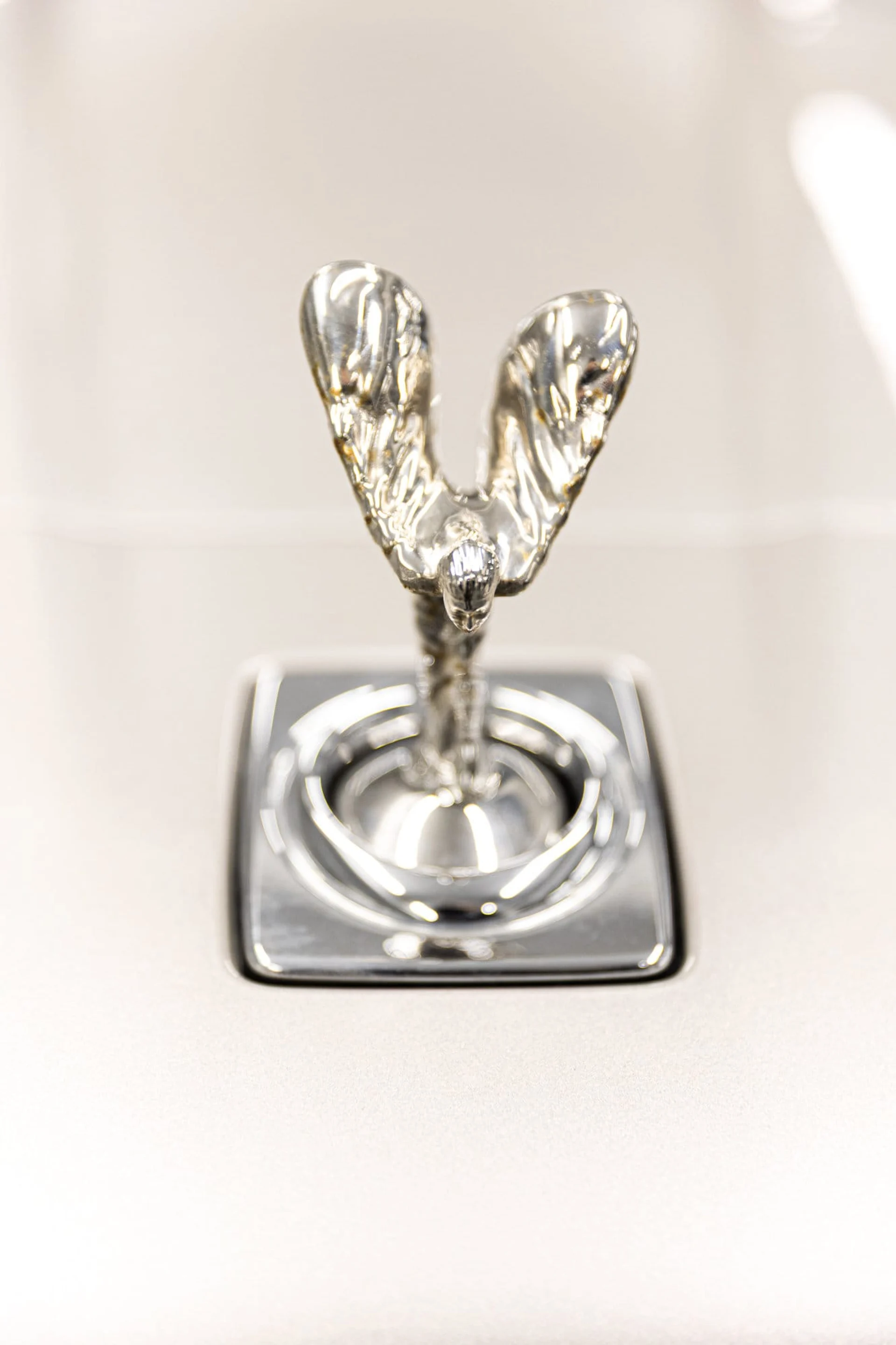 mph007_4197003092_9a1ff01b53fa747e9843abb76667de85x_23ee8b2f52