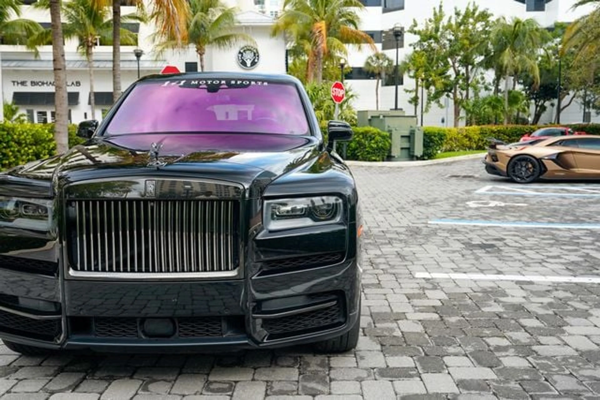 mph007_4283066840_22971405_8_fa6356b45c