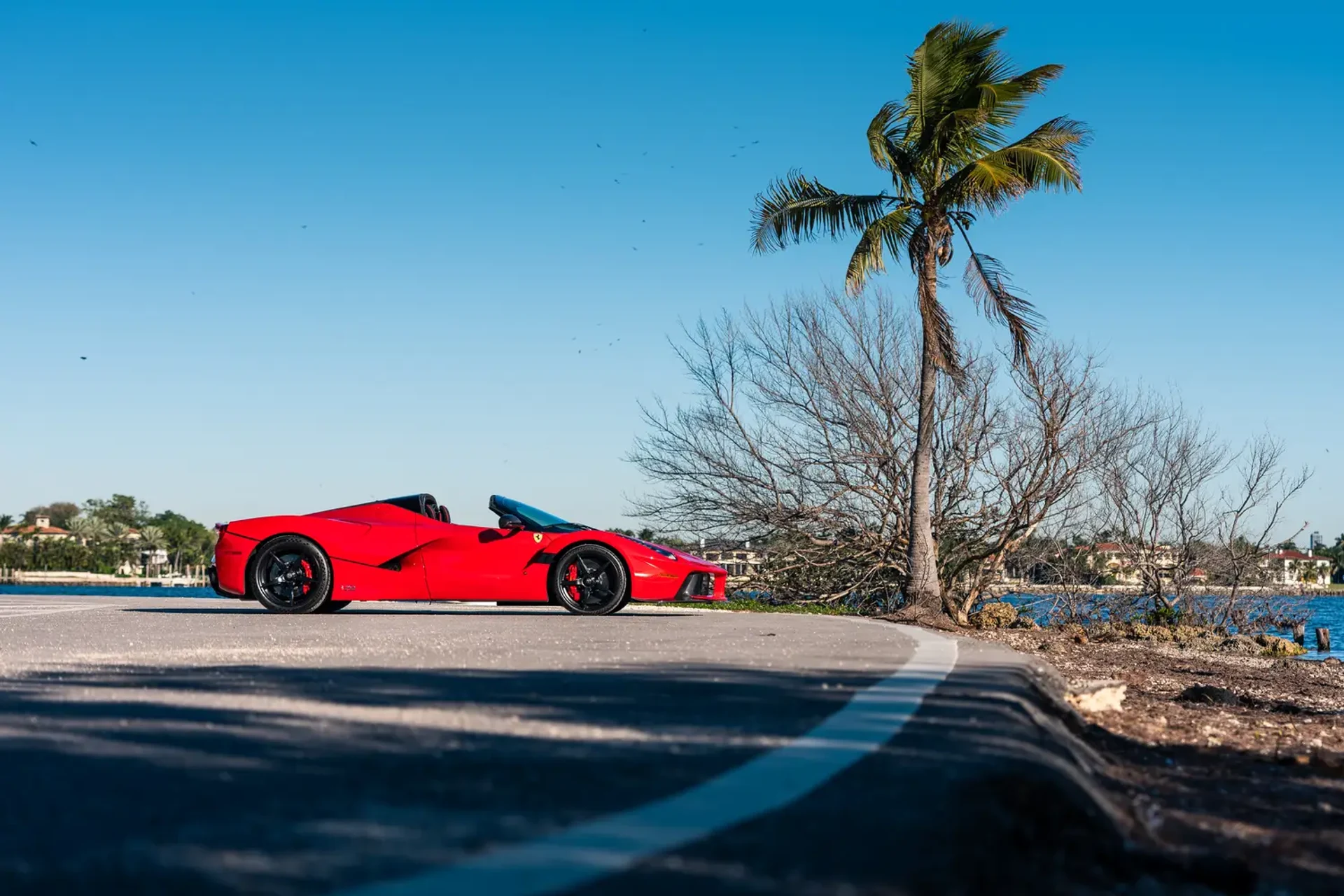 mph007_484248115_697397327e41977ffee80de9_gallery_image_7_1769183022880_74d8ad6ff2