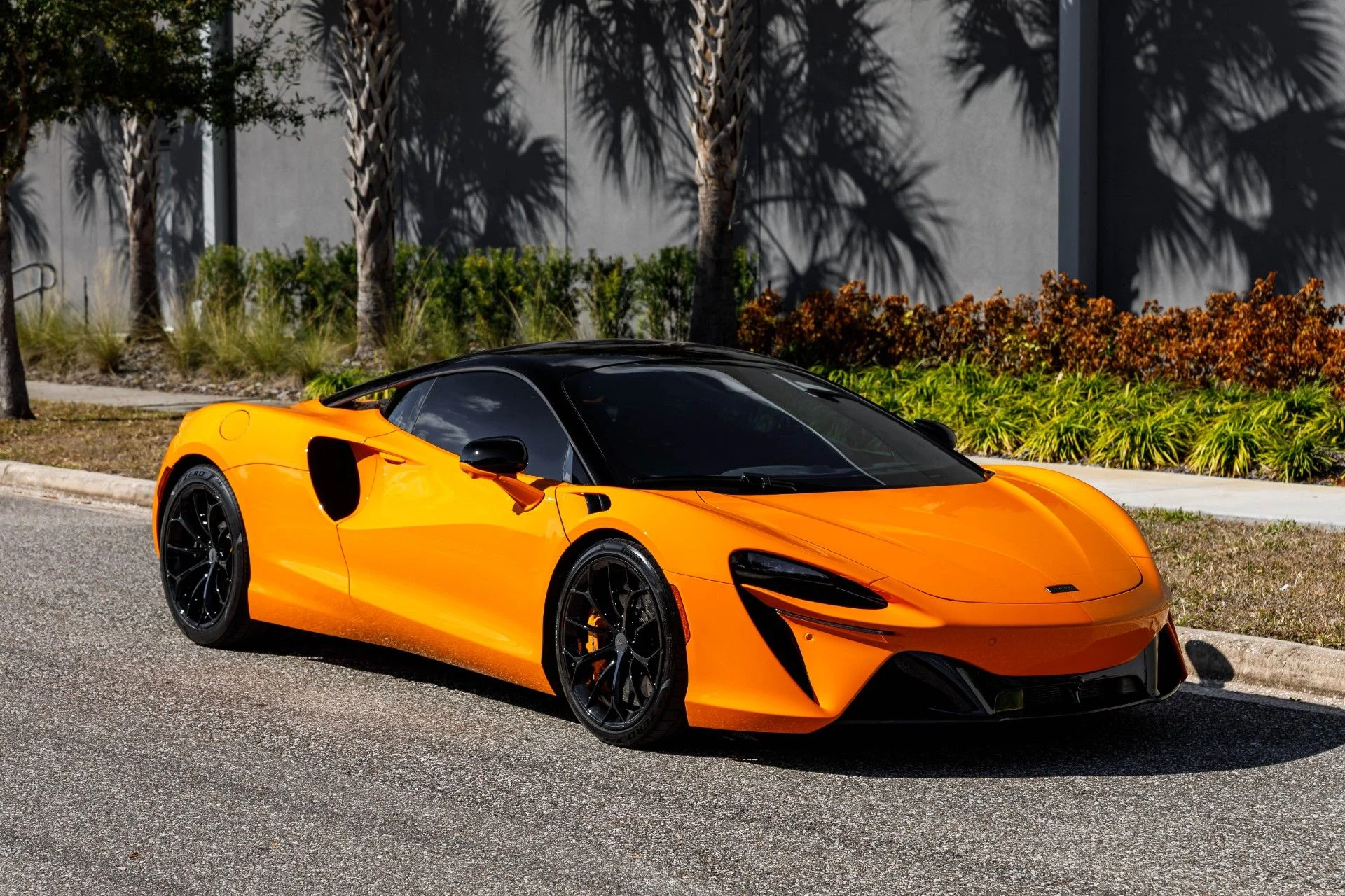 mph007_493584556_653_p8_l_f25ab95199