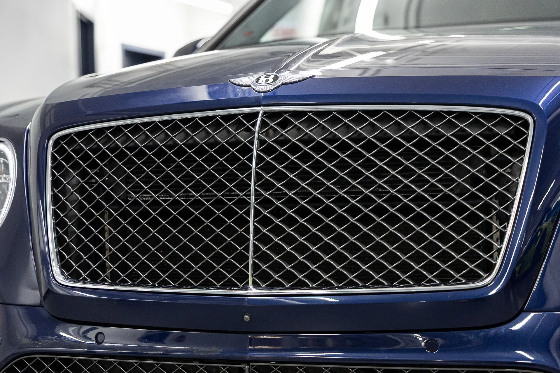 mph007_501224174_56d6dda4af0cbf809de35a69202b5971x_5e542837e9