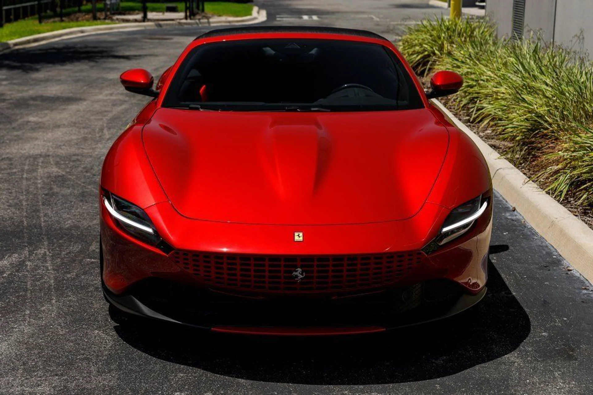 mph007_560549655_539d40e42ea1299ff40686bd25d0533d_fd34feefb6