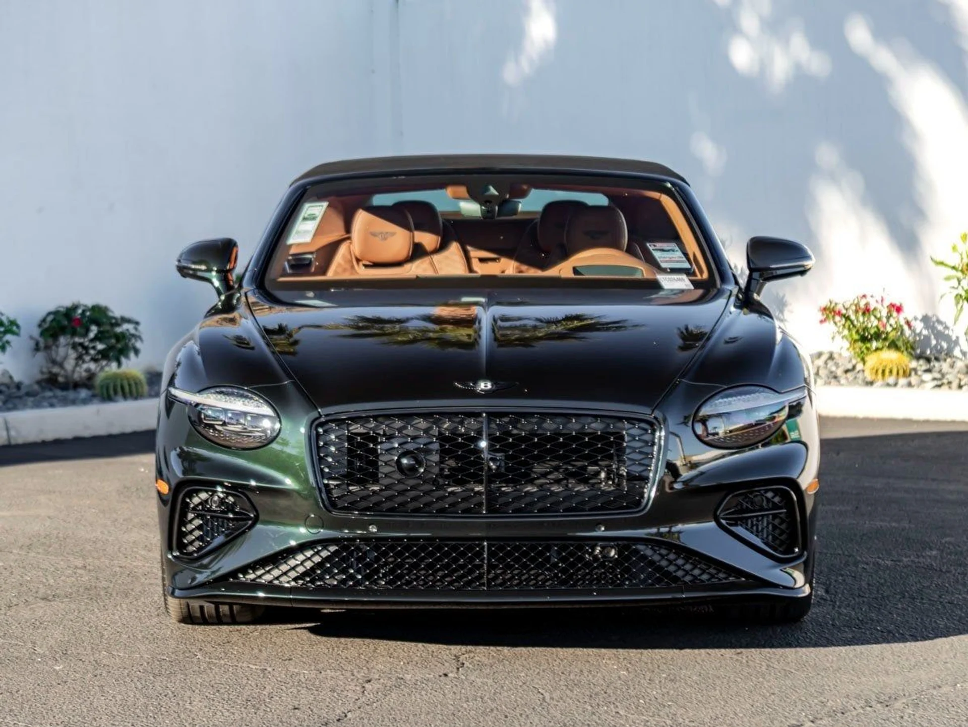 mph007_593184456_8_eea2e44f96