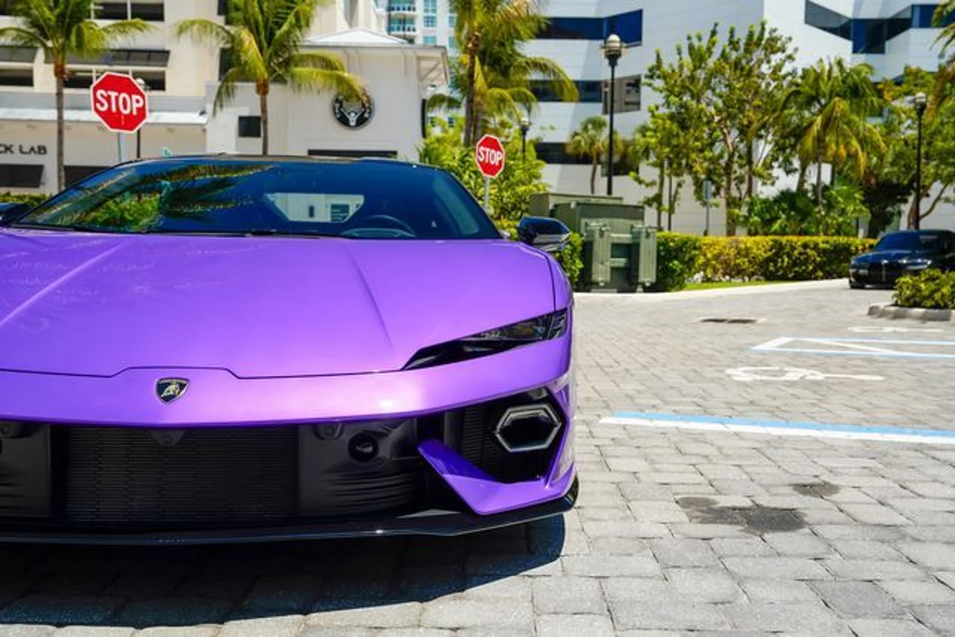 mph007_725872466_23014494_8_5018df3fa4