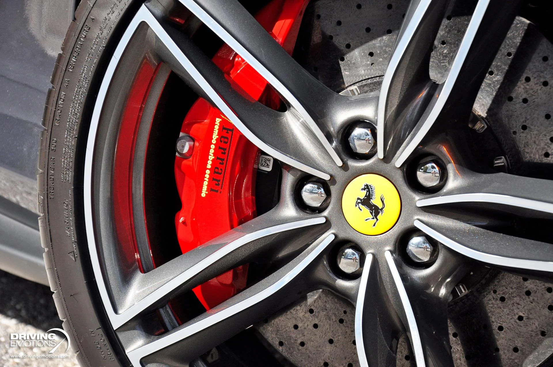 mph007_750824054_882_p8_l_310df001c9