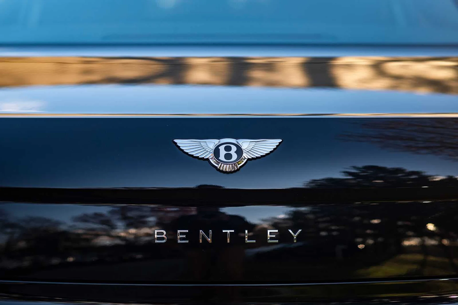 mph007_780987287_97934c23d3854d25266d46668cfd4c4cx_6177023d36