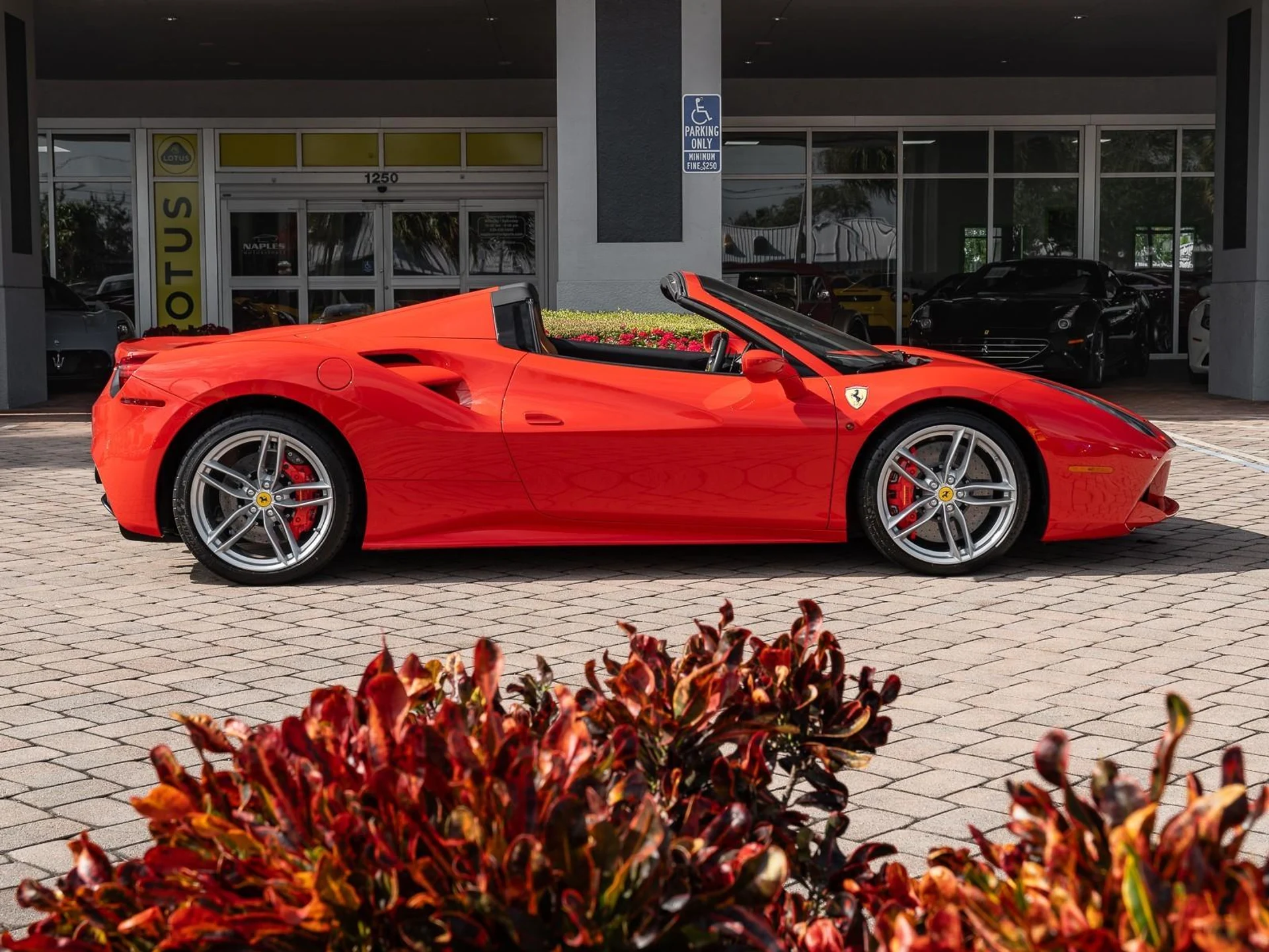 mph007_826031614_Used_2019_Ferrari_488_Spider_Convertible_1771513881_68108e2a21