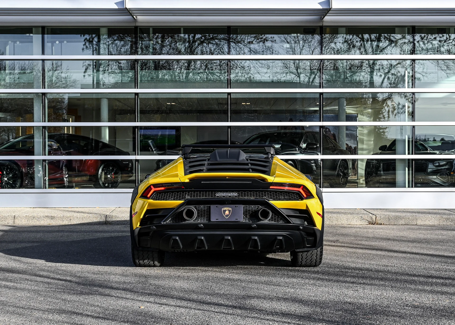 mph007_843952450_f36003a6_af8e_4739_9c1c_d1d5e6291ea4_3ae01b7704