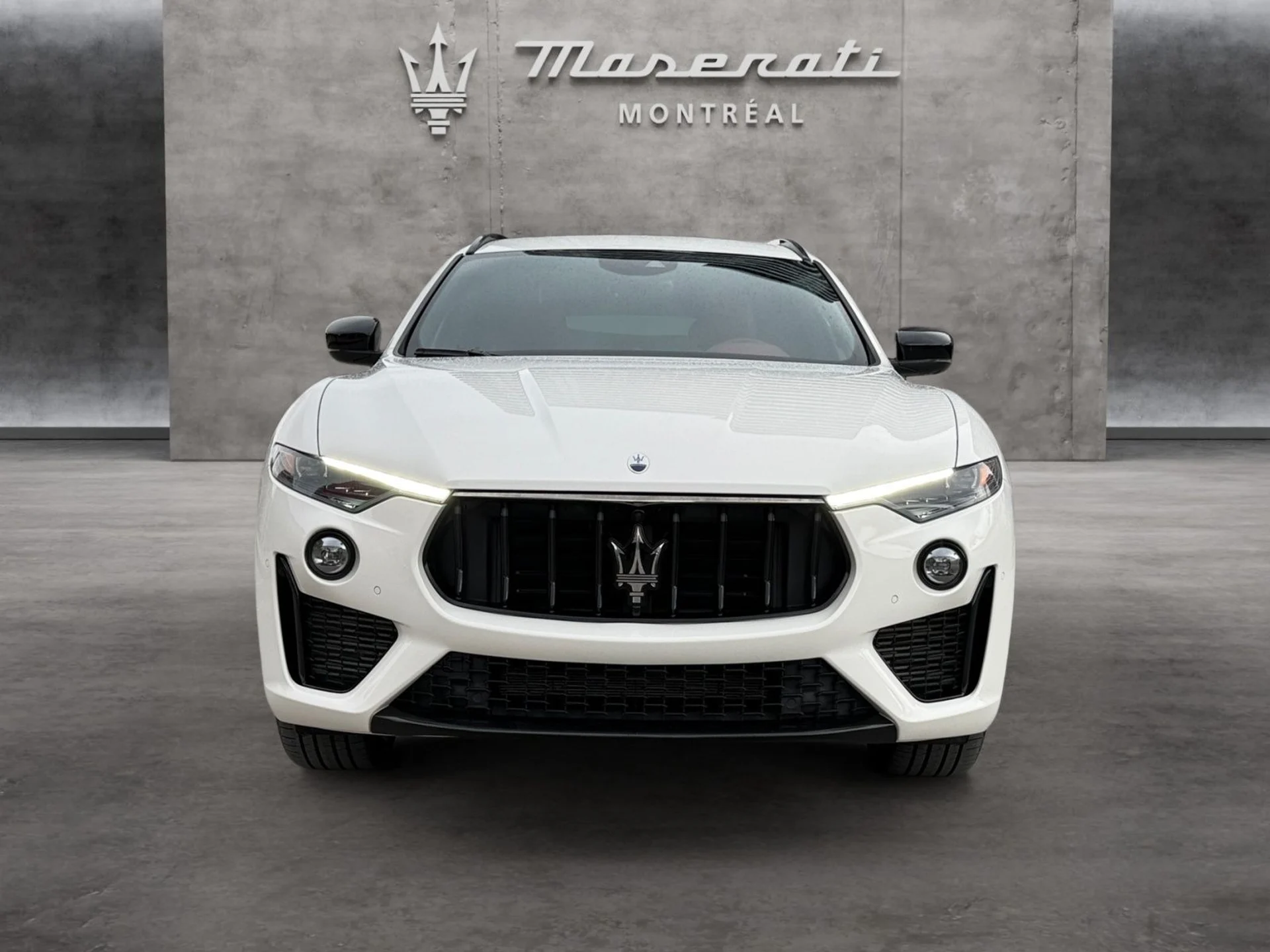 mph007_919683225_05fc96f9_69d1_45ed_8862_e0c7f404ca61_f7fa642eab