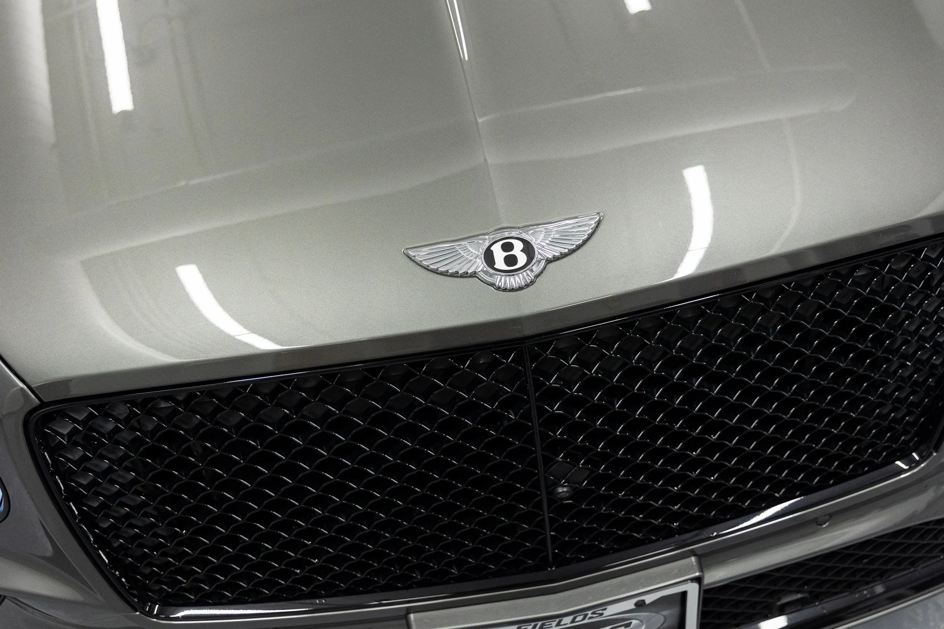 mph007_994956845_752aa2fd91a8e85b8d40ad58b924108ex_22d3df09ae