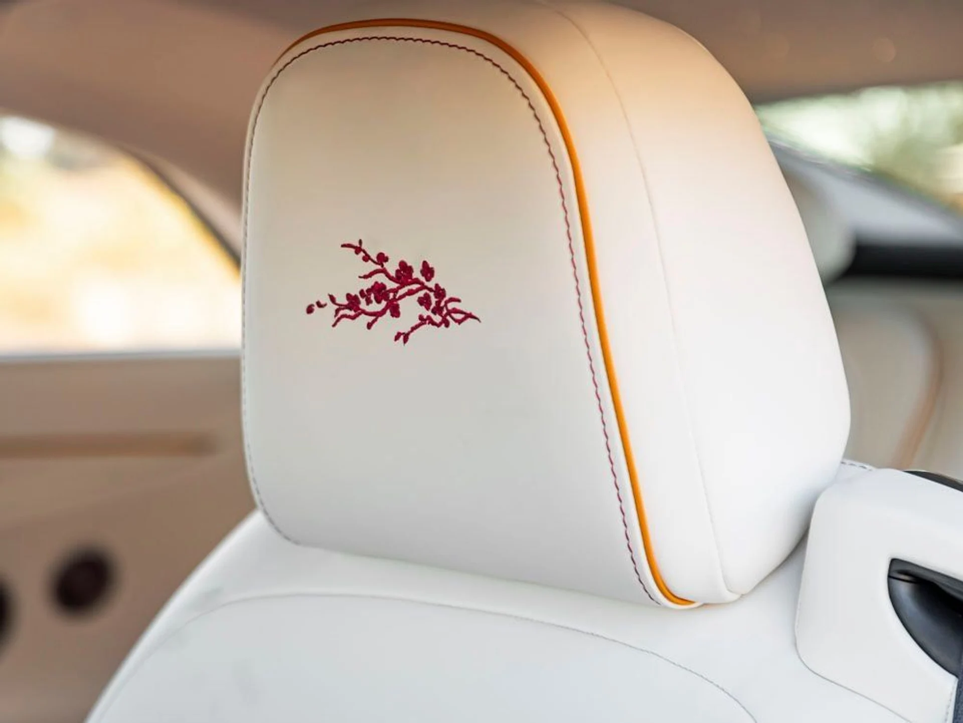 mph008_1003332580_9_d0fd128c85