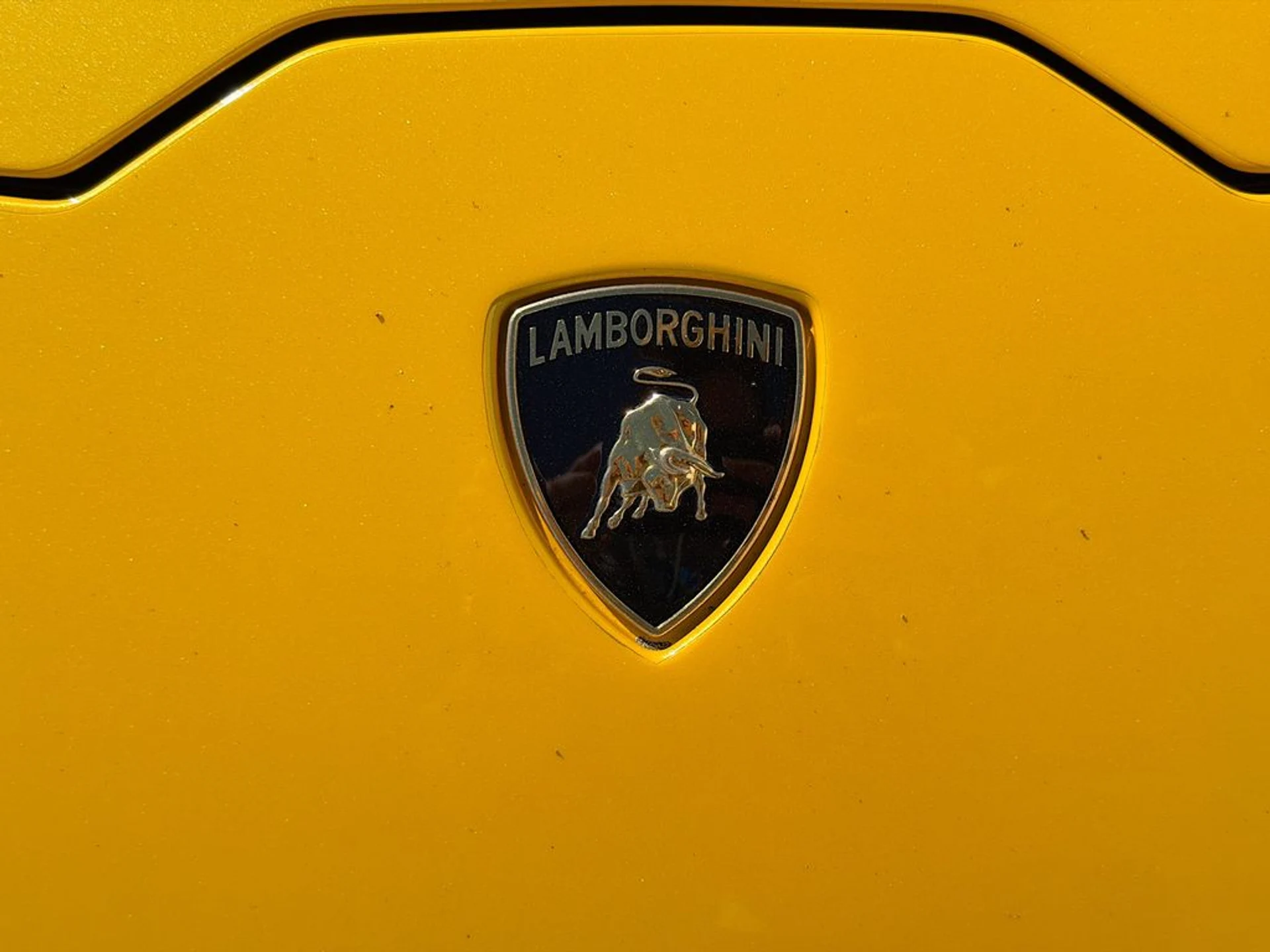 mph008_1013445152_8ad011b2987e4423441ab059f9990e60x_f683609c15